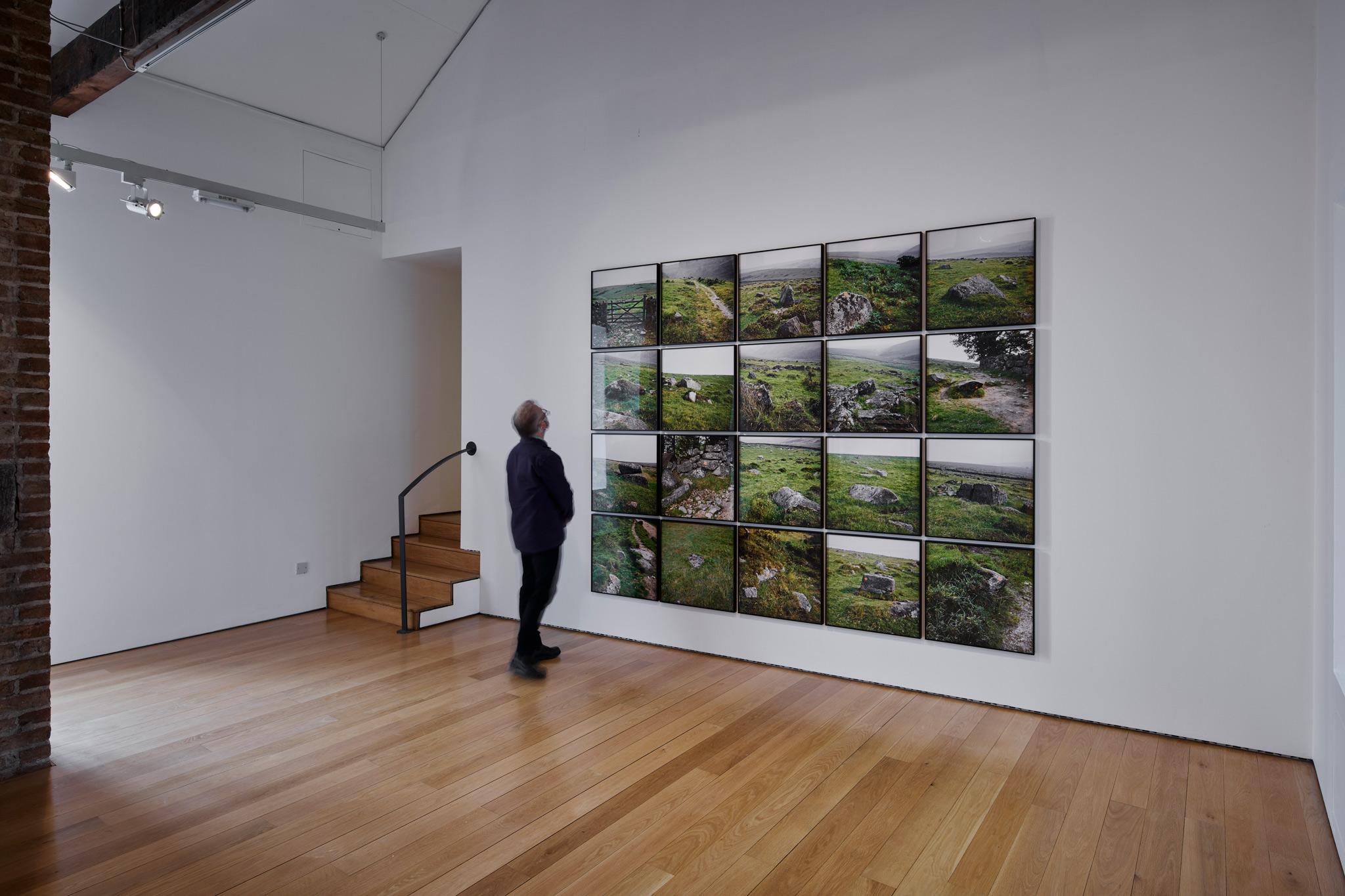 gallery space with a grid of twenty images of orange dots along a grassy trail 