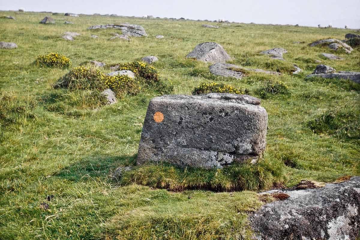 A series of twenty photographs captured along the high moor of Dartmoor National Park in Britain. Each photograph featuring an orange mark painted onto each stone marker.