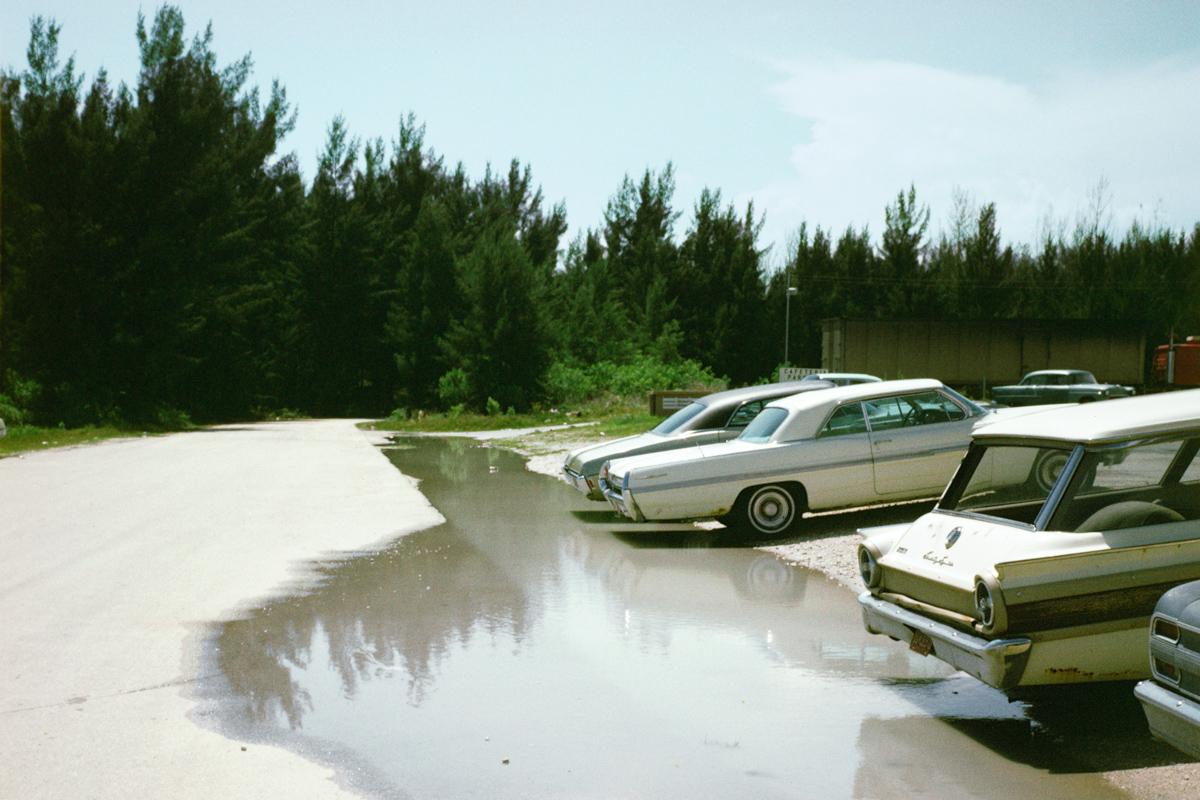 a large puddle with cars parked beside it on the right side and a row of evergreen trees in the background