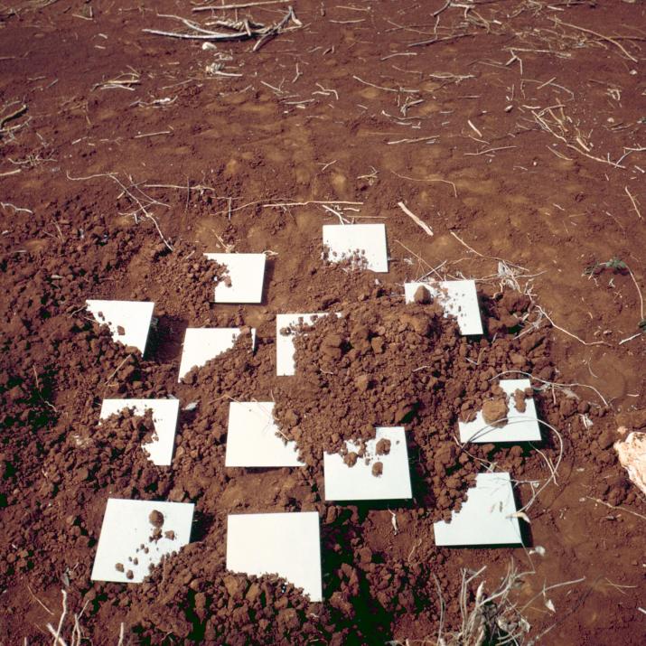 square mirrors in red earth