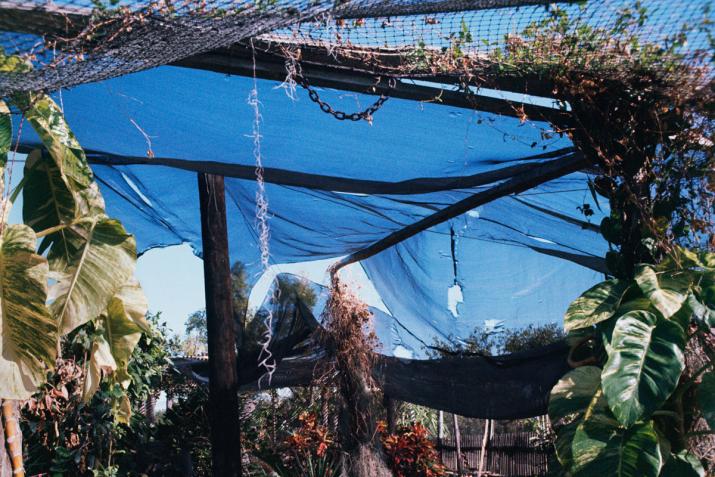 a garden of nets