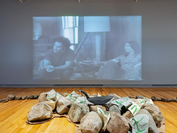 a video projection and a group of rocks