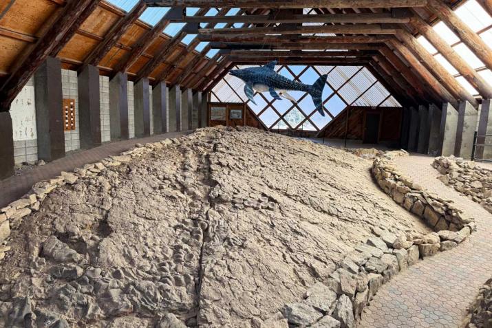 a large fossil bed site in nevada