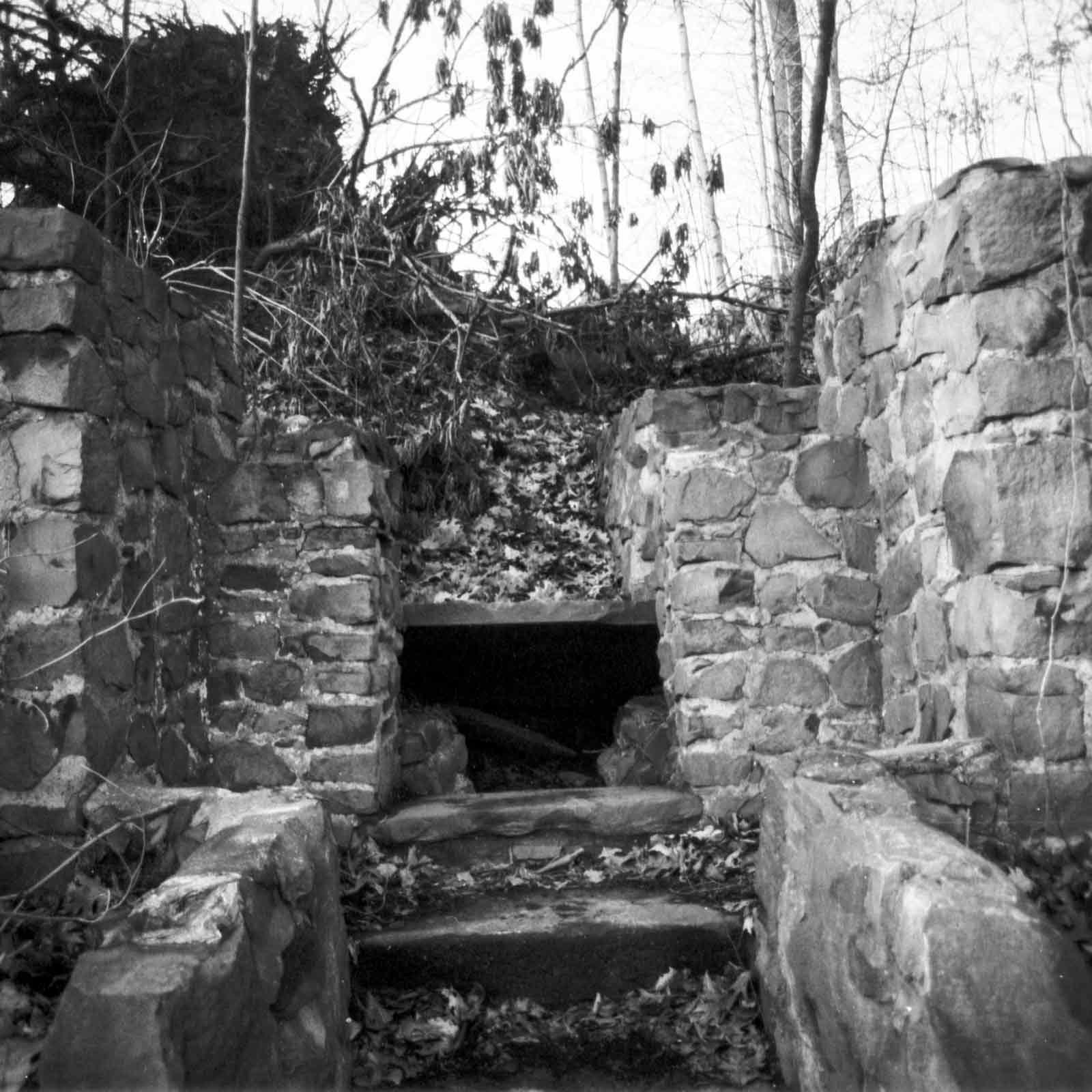 Black and white photograph of building ruins in a forest in Cedar Grove, New Jersey