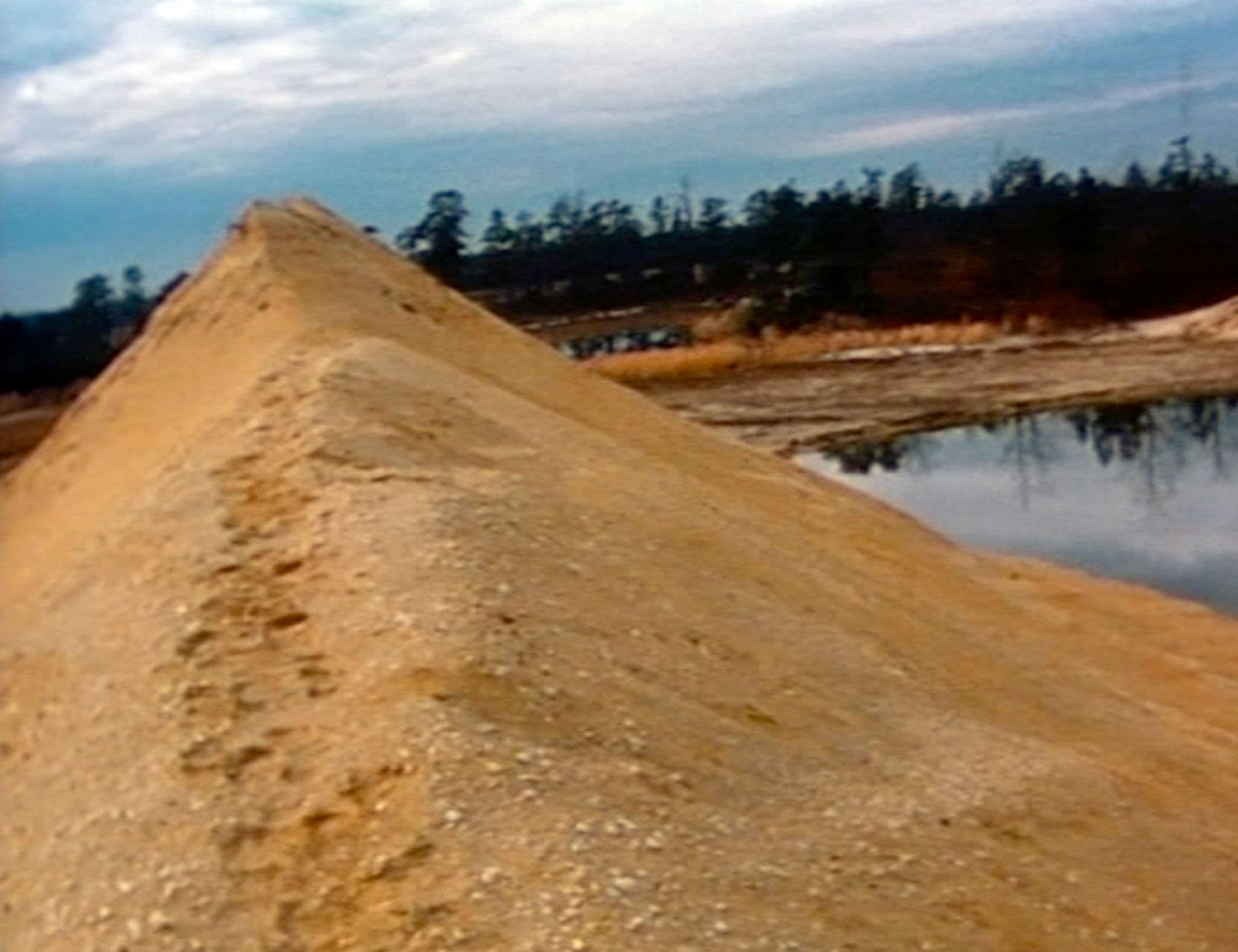 A still image of a mound of earth in Pine Barrens, New Jersey.