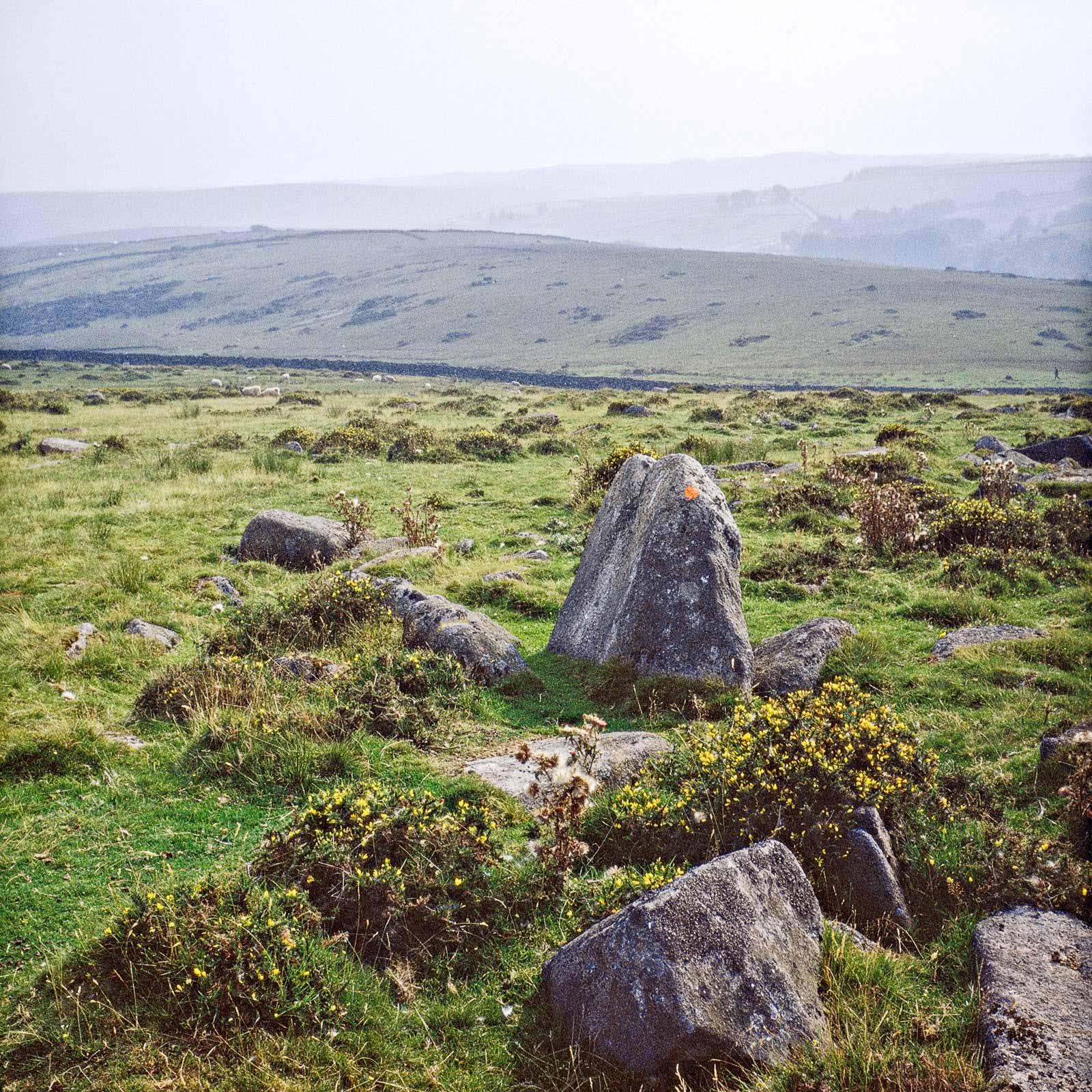 A series of twenty photographs captured along the high moor of Dartmoor National Park in Britain. Each photograph featuring an orange mark painted onto each stone marker.