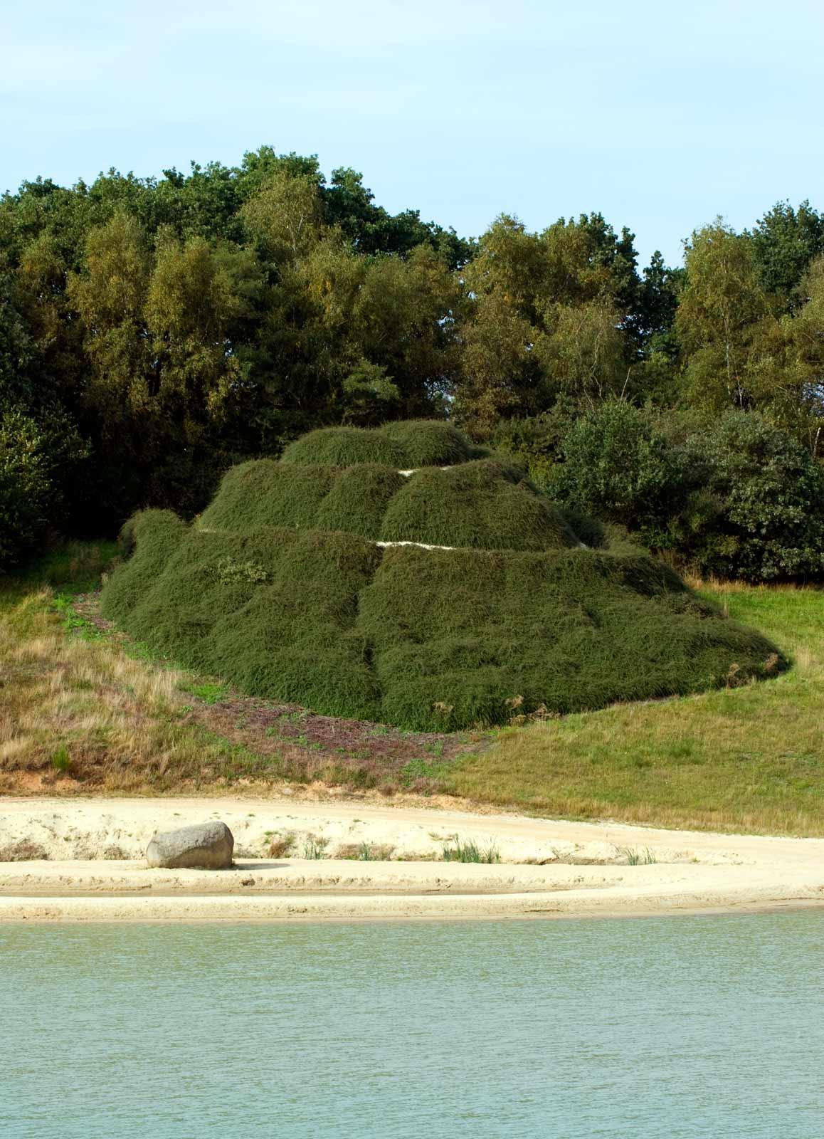 Smithson's Spiral Hill in 2011, covered in foliage. 