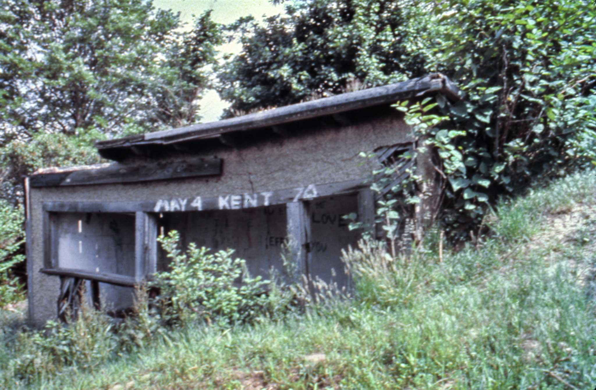a dilapidated woodshed with earth piled on the right wall and roof has been taken over by the surrounding plants