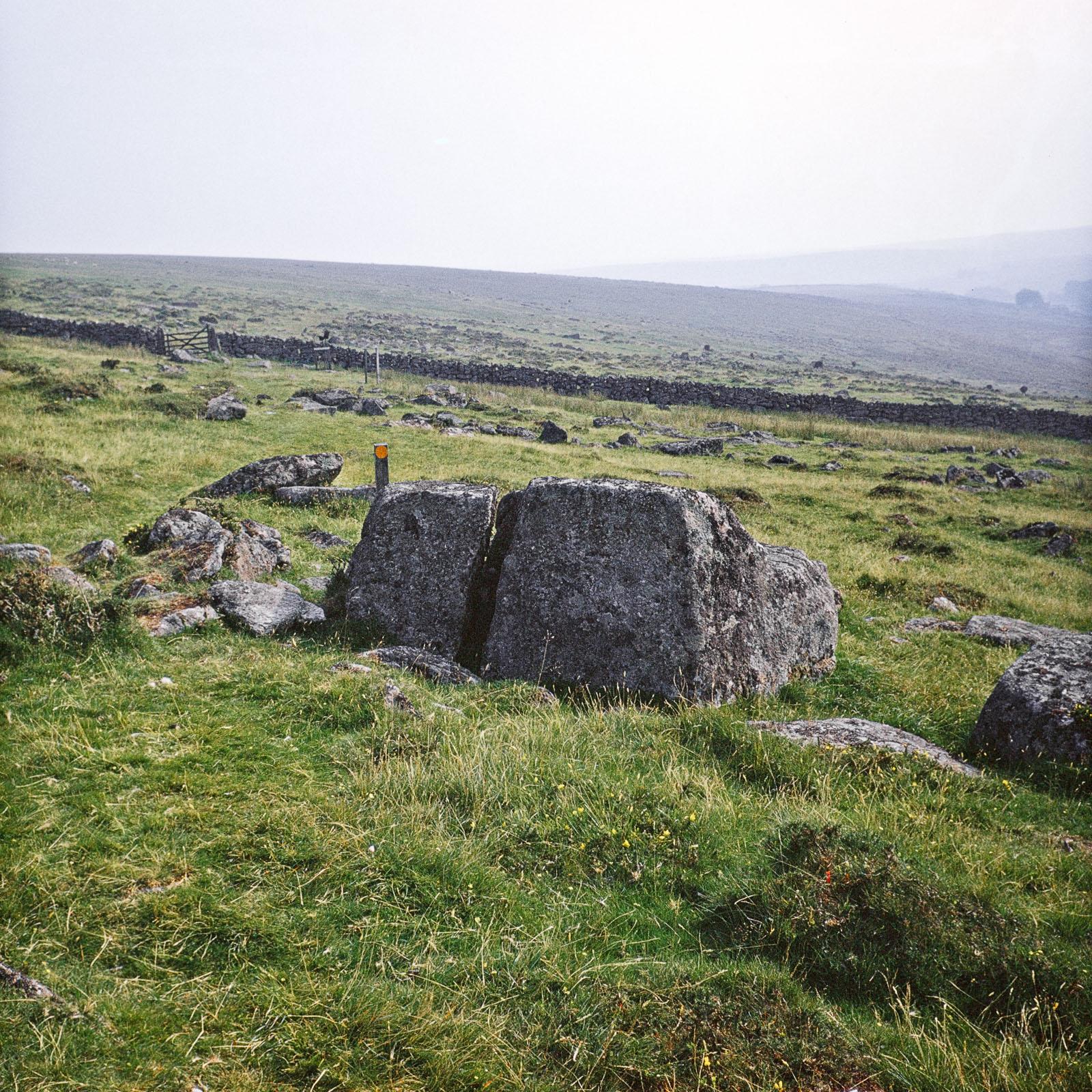 a large boulder in a green field with a small orange circular dot painted on the boulder