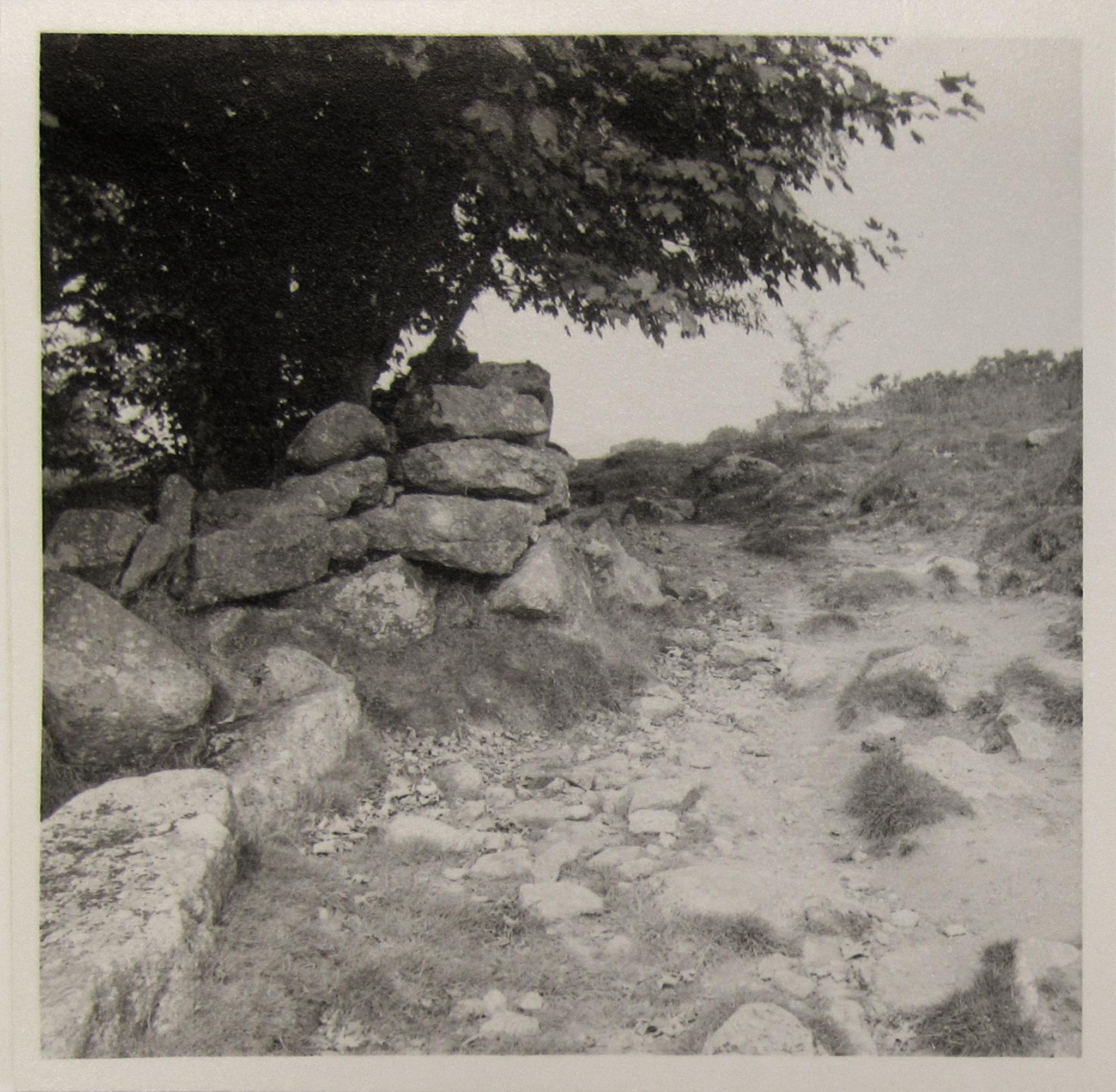 a black and white images looking up at a pile of rocks positioned under a tree