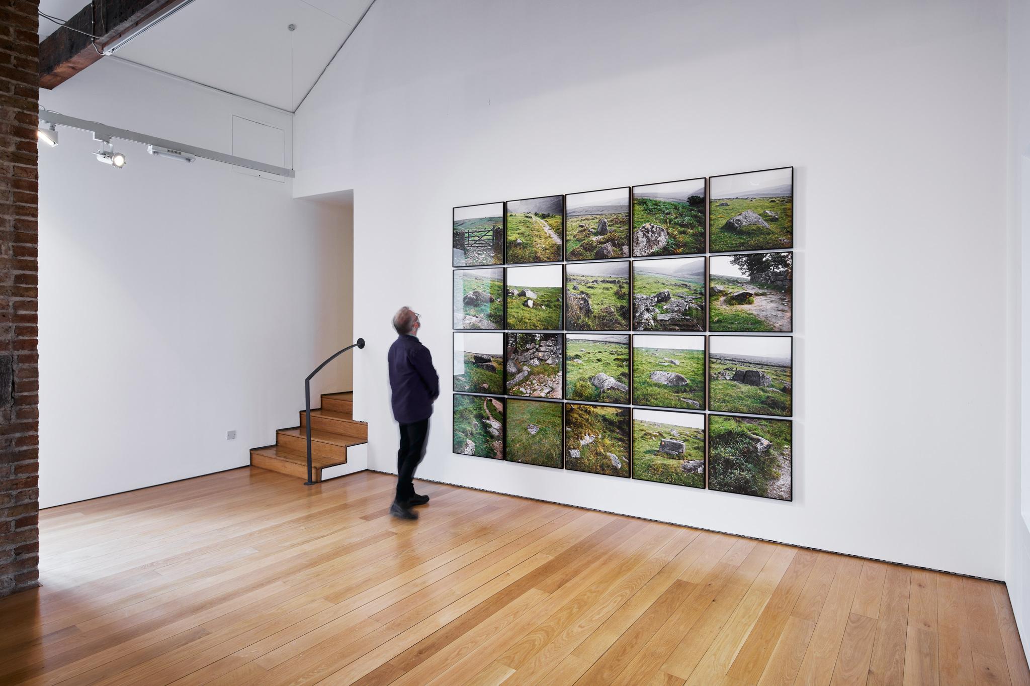 person standing in a gallery space looking at a large grid of green landscape photographic images