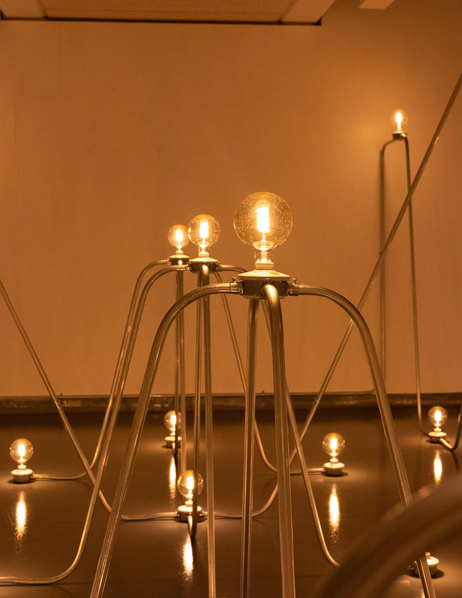 Nancy Holt's Electrical system is a network of arching conduit and lightbulbs