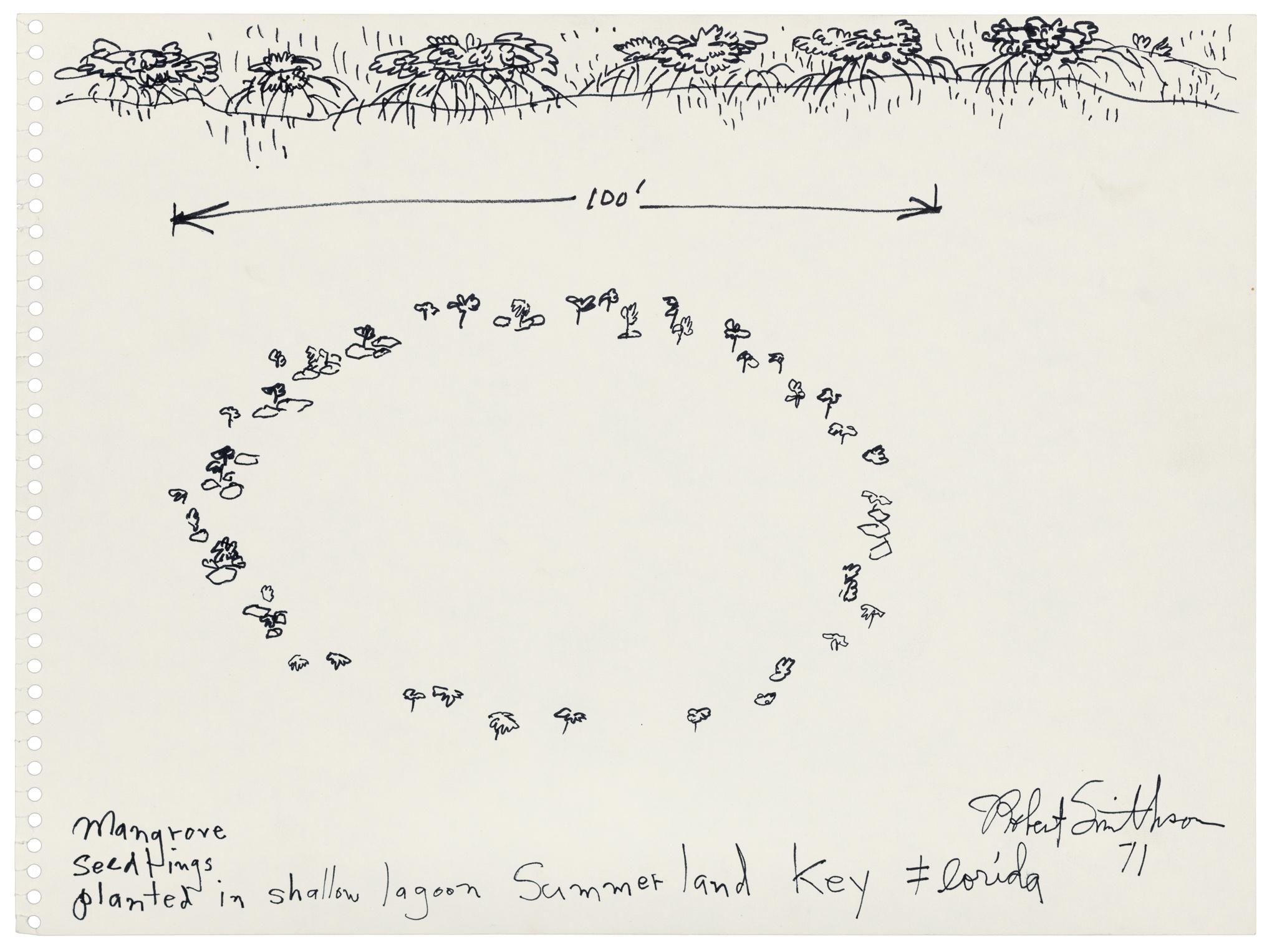 Robert Smithson's ink drawing of a ring of mangrove seedlings