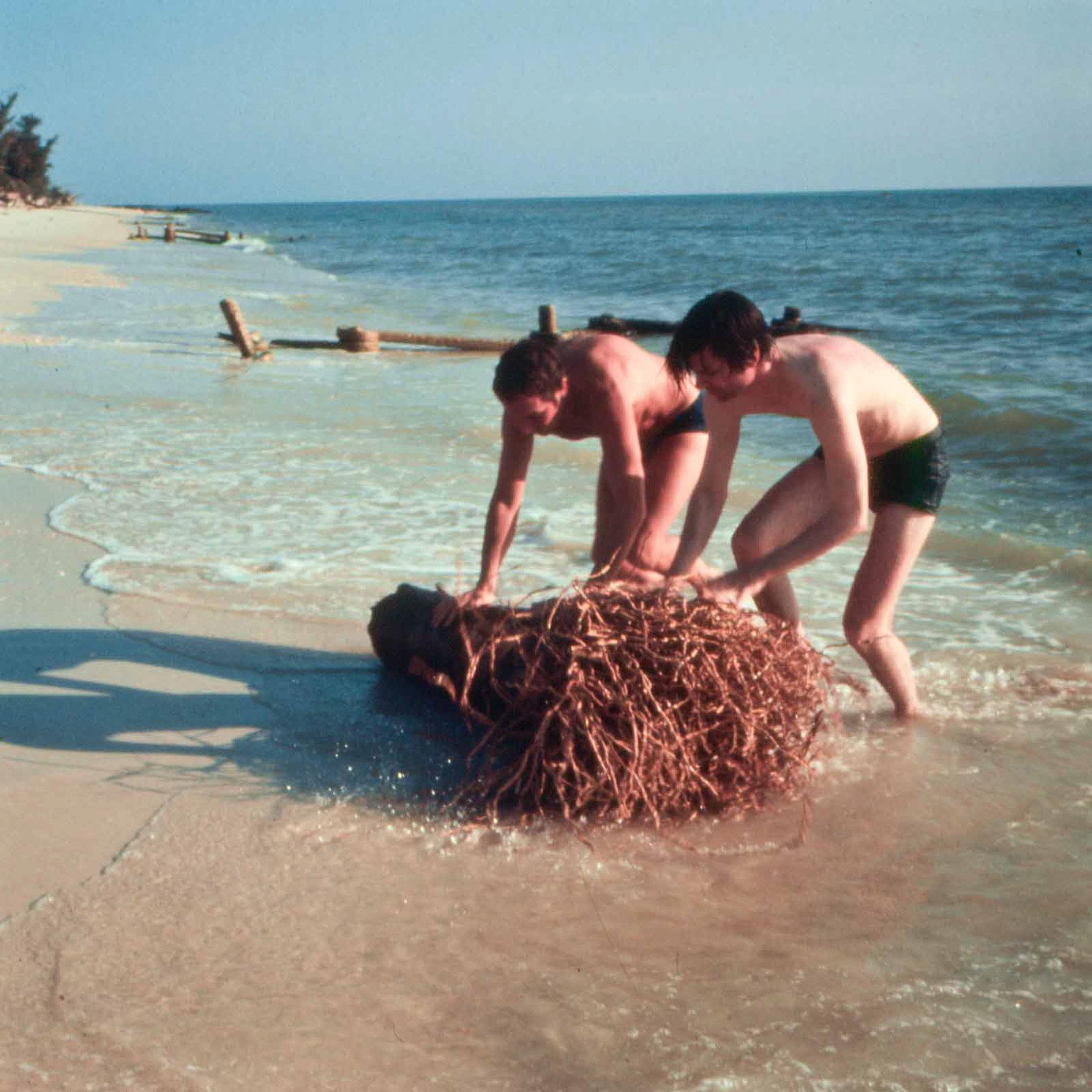 Two people rolling a tree out of the water onto a beach