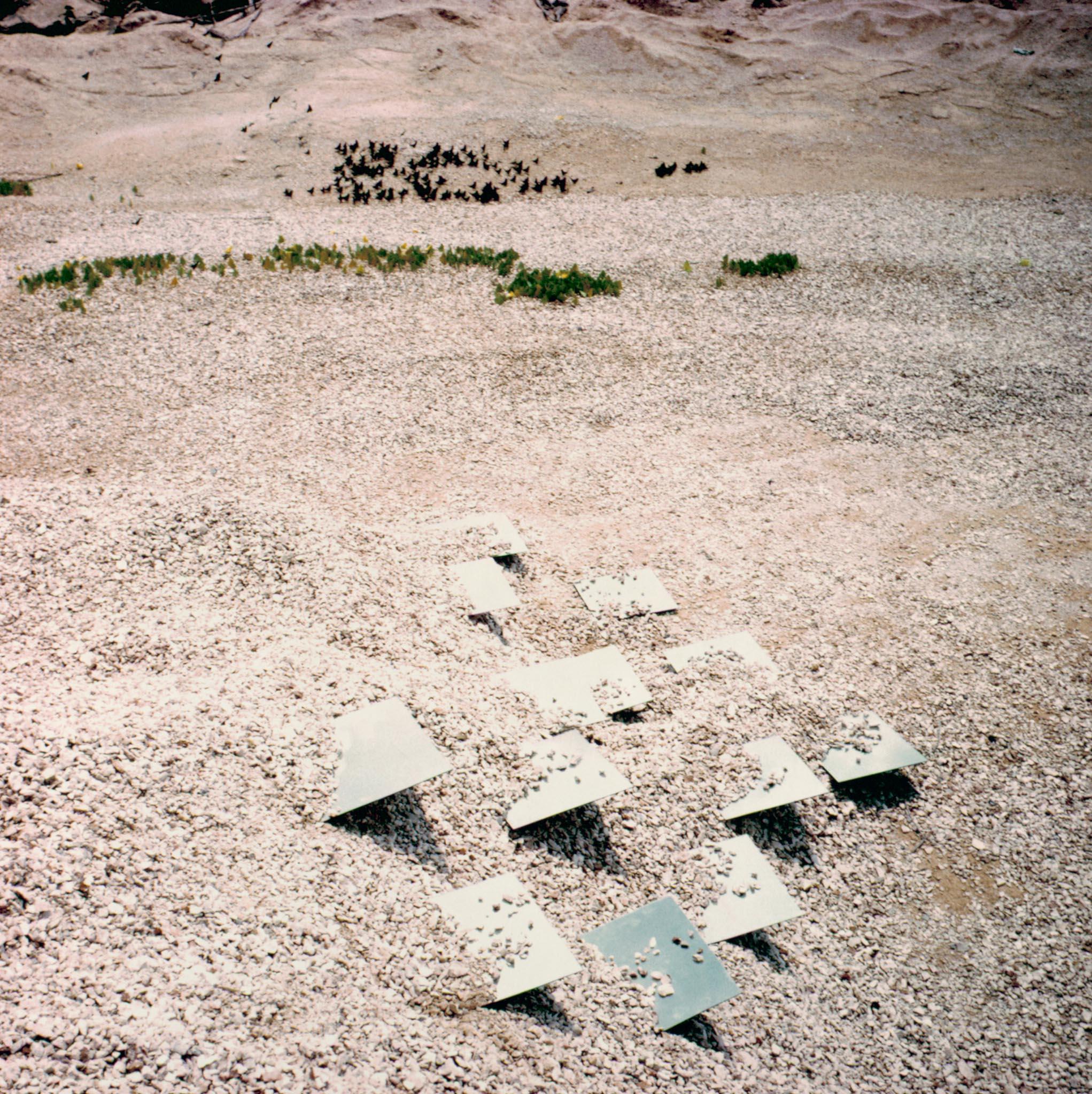 square mirrors in gravel
