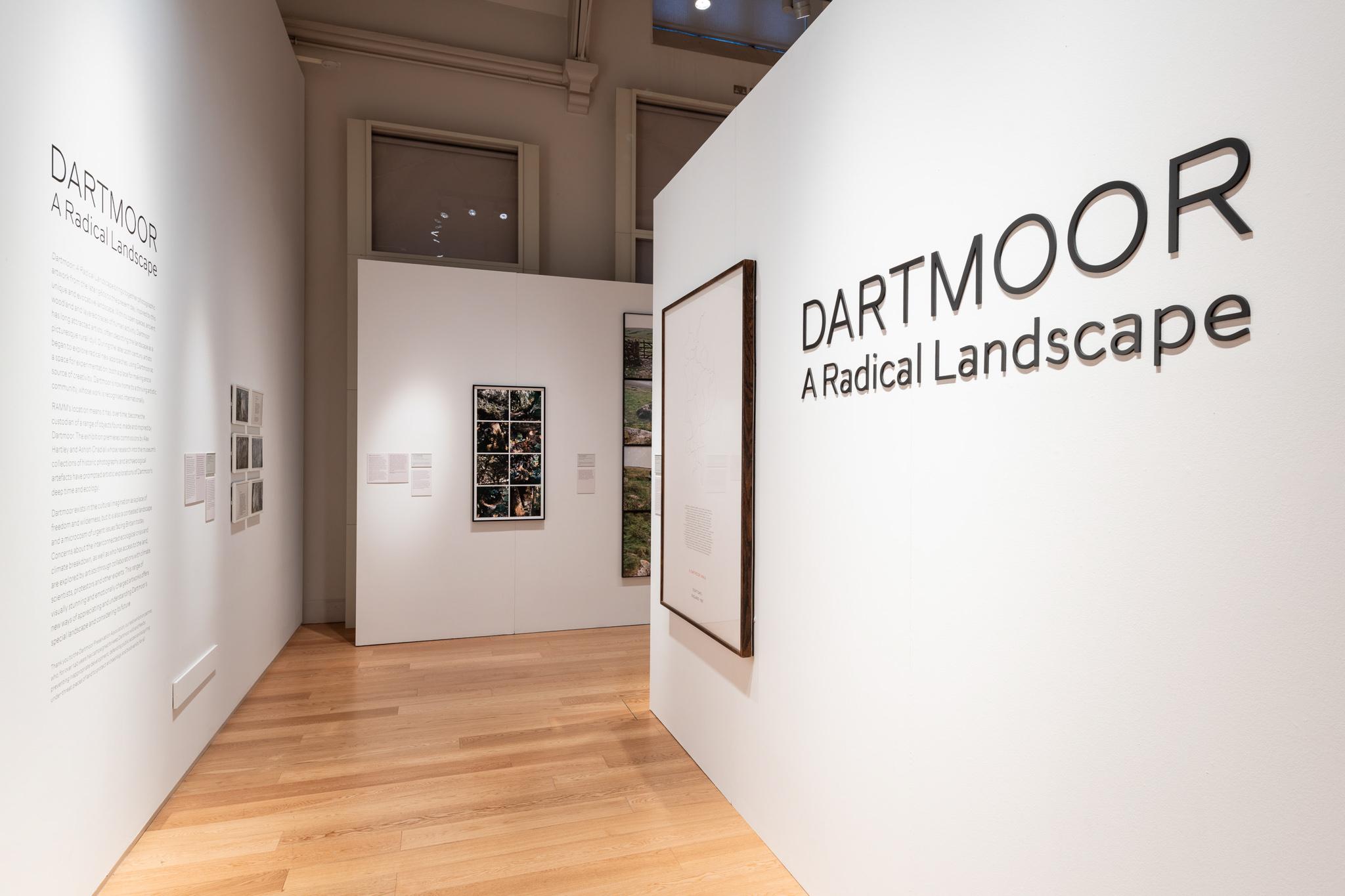 Installation view of an exhibition featuring photographs and wall works