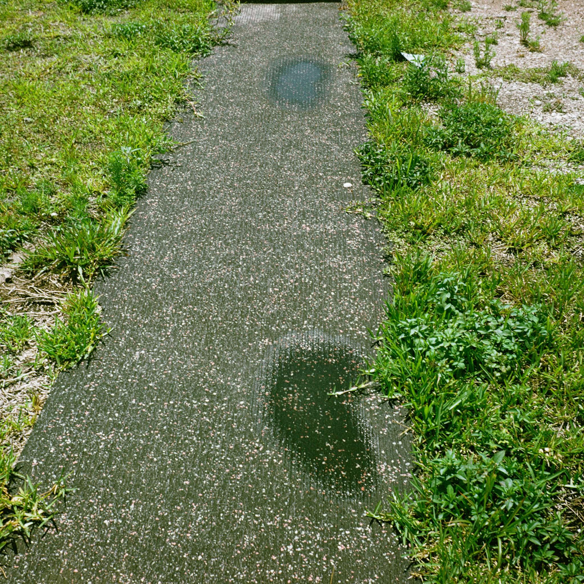 a puddle in the city of Miami 