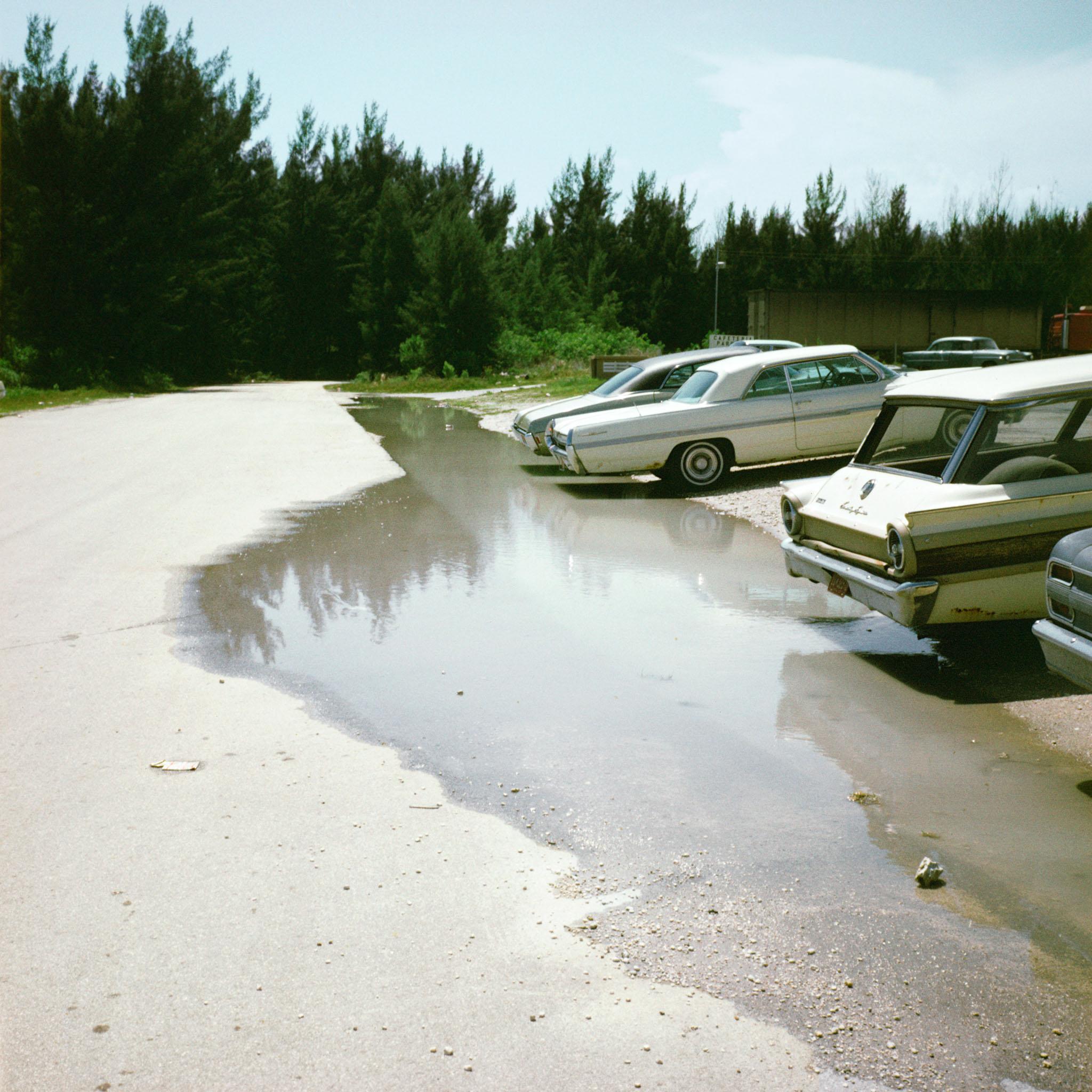 a parking lot with a large puddle and vehicles along the right side and evergreen trees in the background