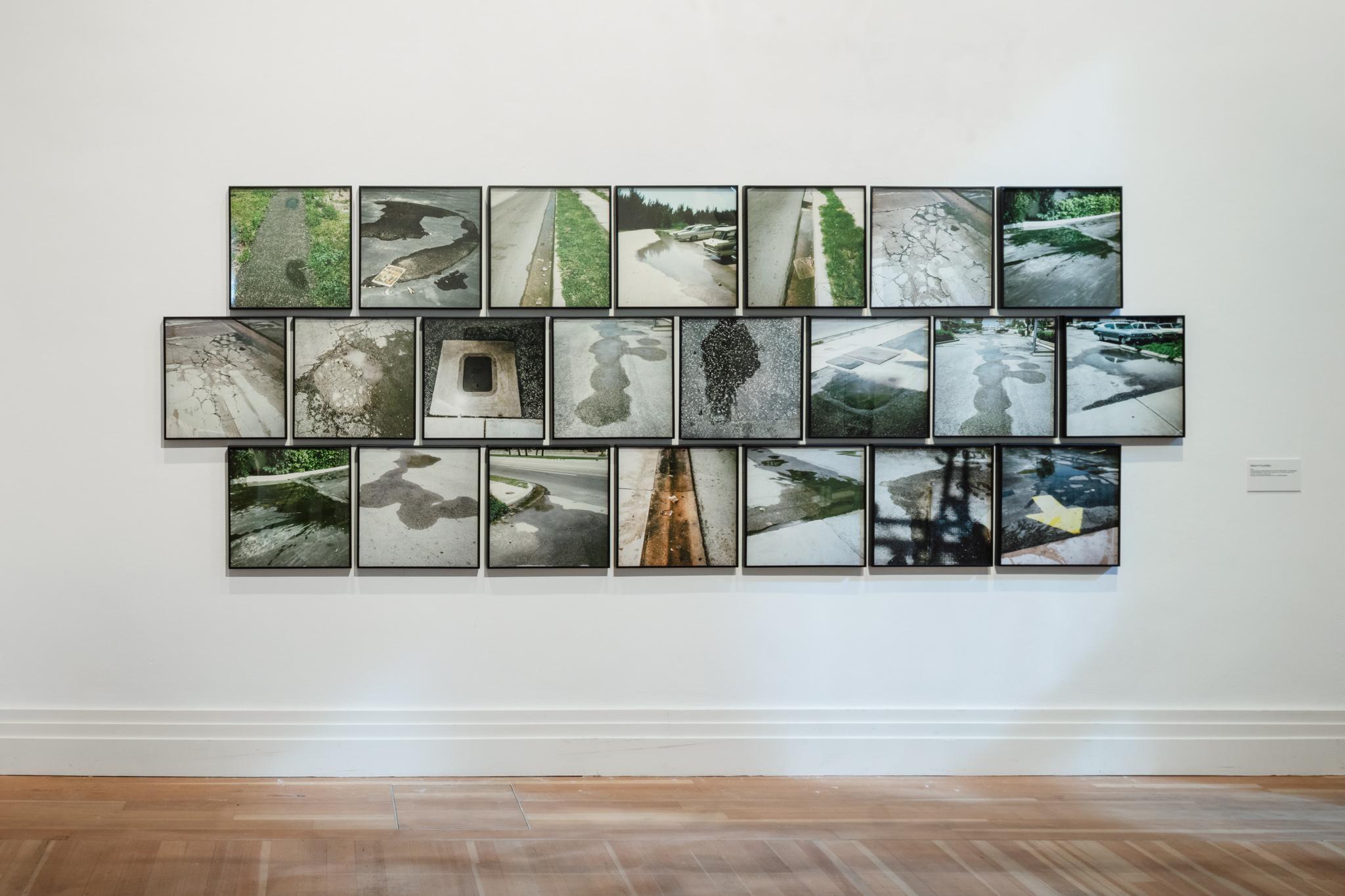 installation view of photographs of Miami Puddles