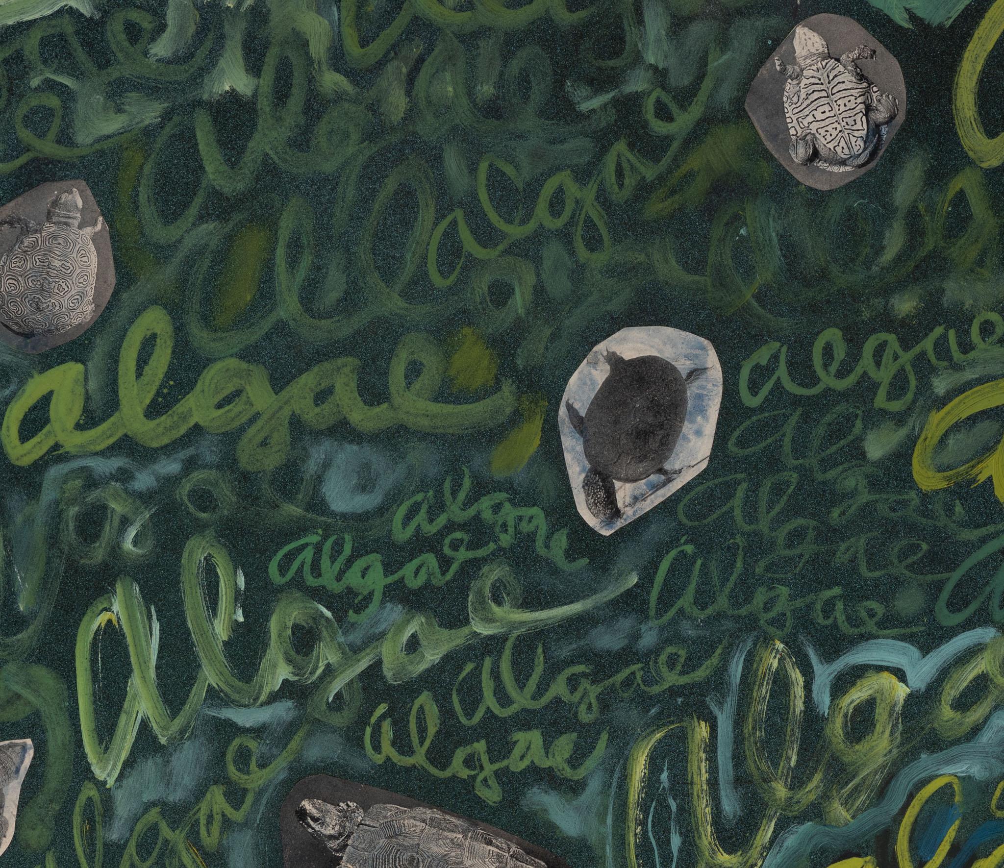 a collage with turtles and a green background with the word algae written on it