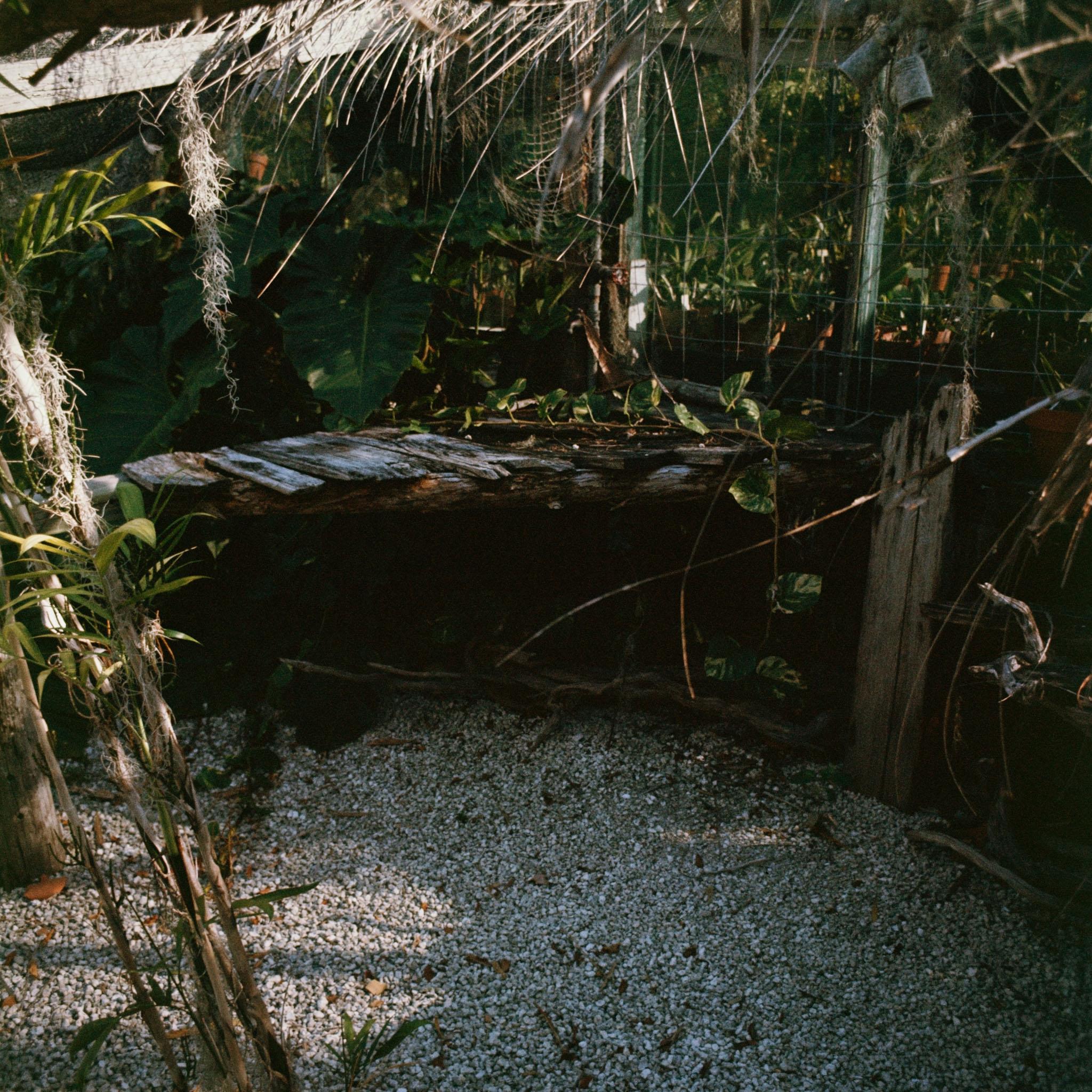 a garden of tropical plants covered with nets