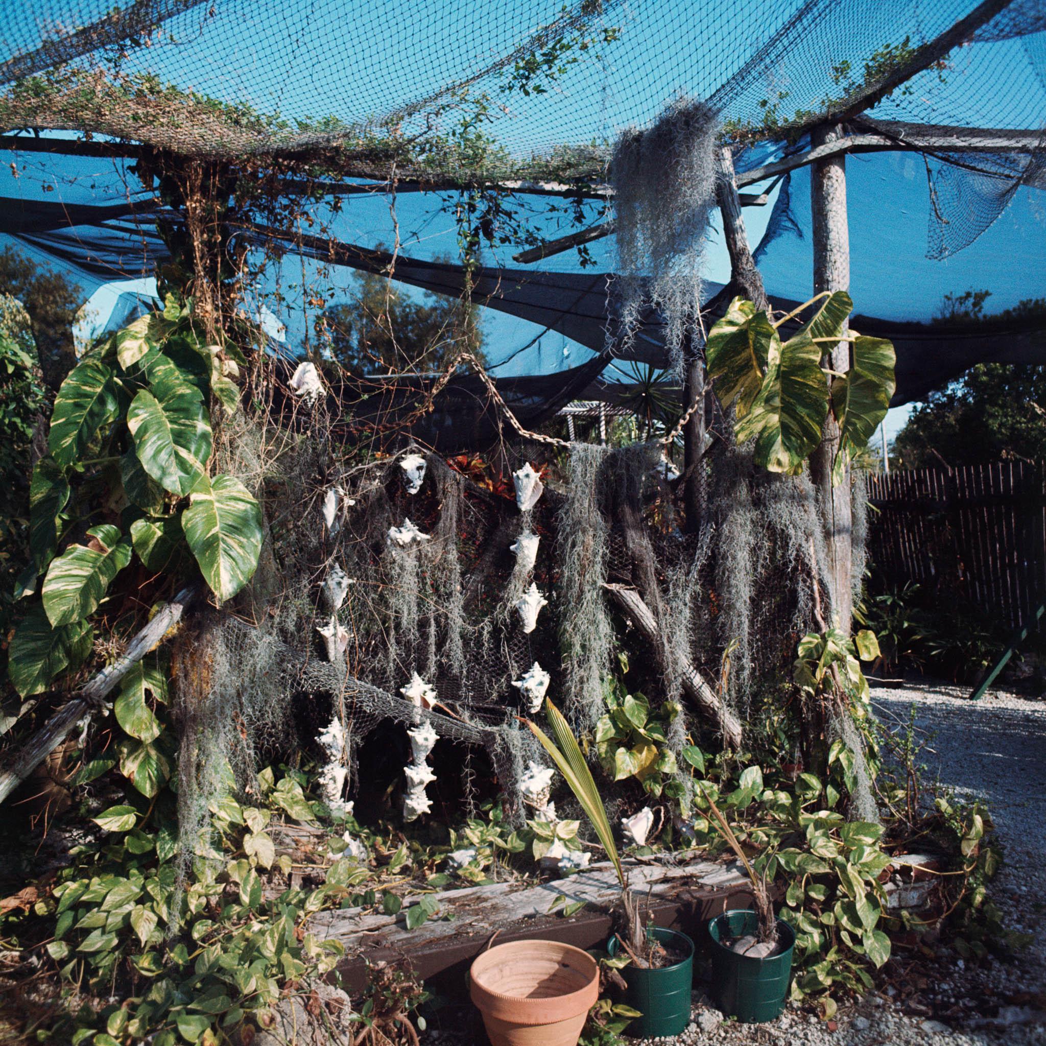 a garden of tropical plants covered with netsa garden of tropical plants covered with nets