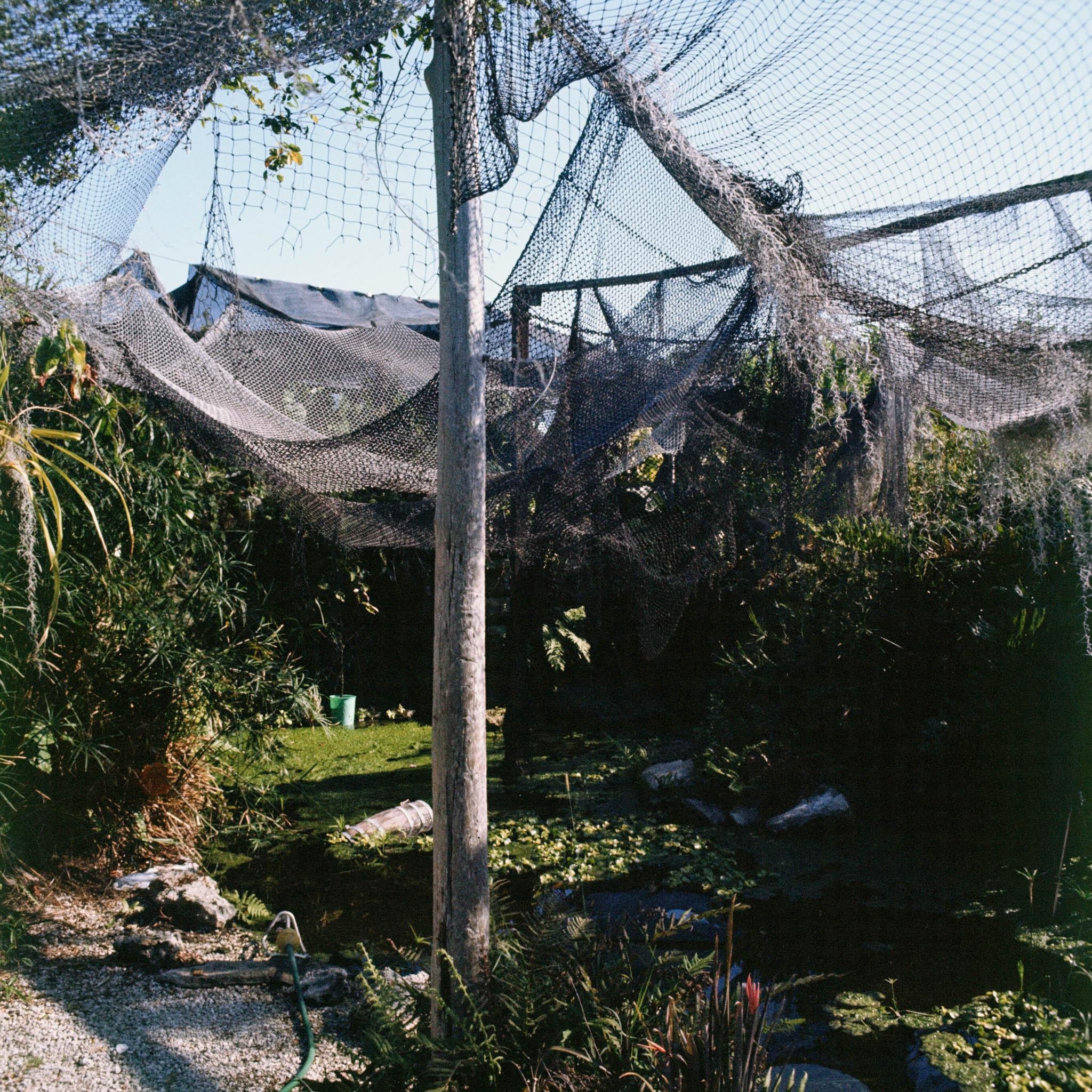 a garden of tropical plants covered with nets