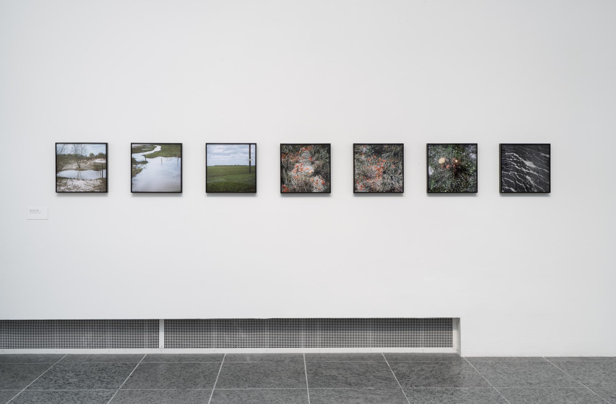 Installation view of Nancy Holt: Power Systems, Wexner Center for the Arts, Columbus, Ohio, 2025