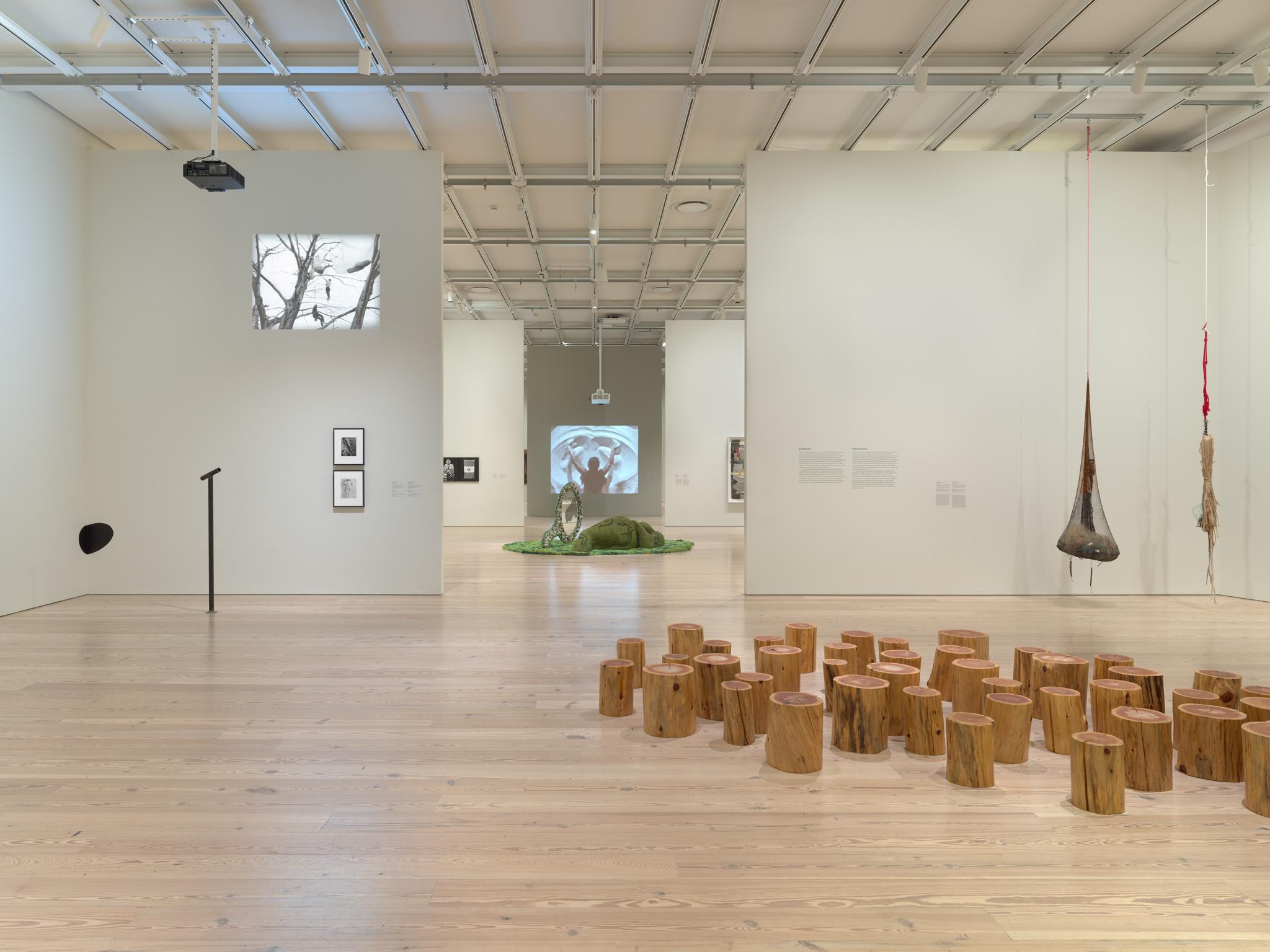 Installation view of Shifting Landscapes at the Whitney Museum of American Art, 