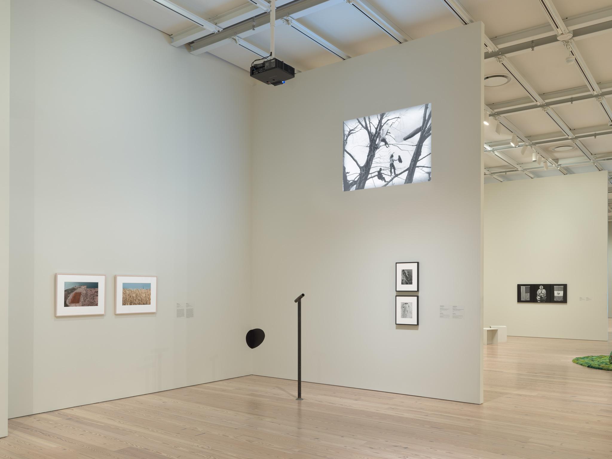 Installation view of Shifting Landscapes at the Whitney Museum of American Art, New York,