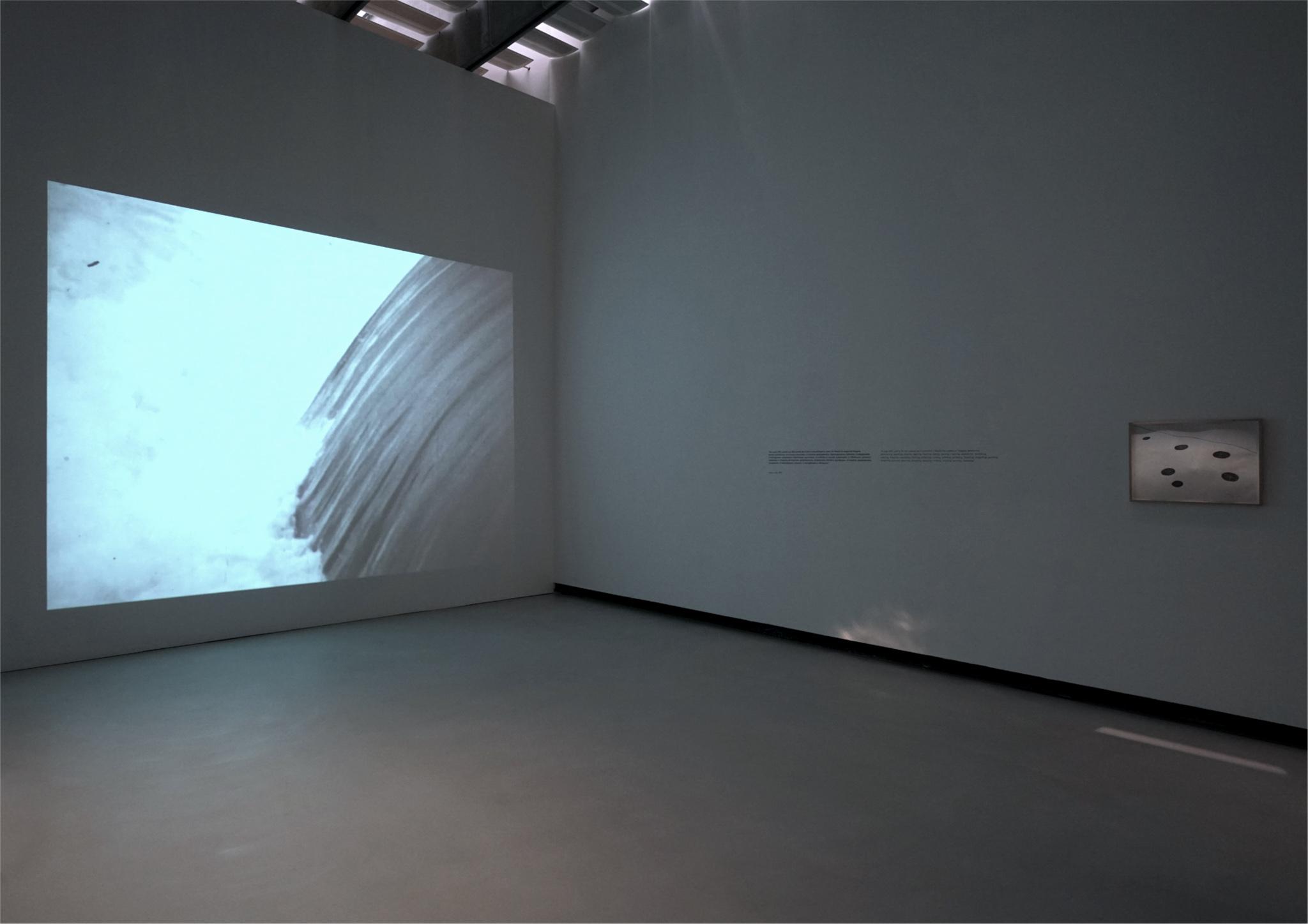installation view of a tall museum gallery space with a projection of water on one wall