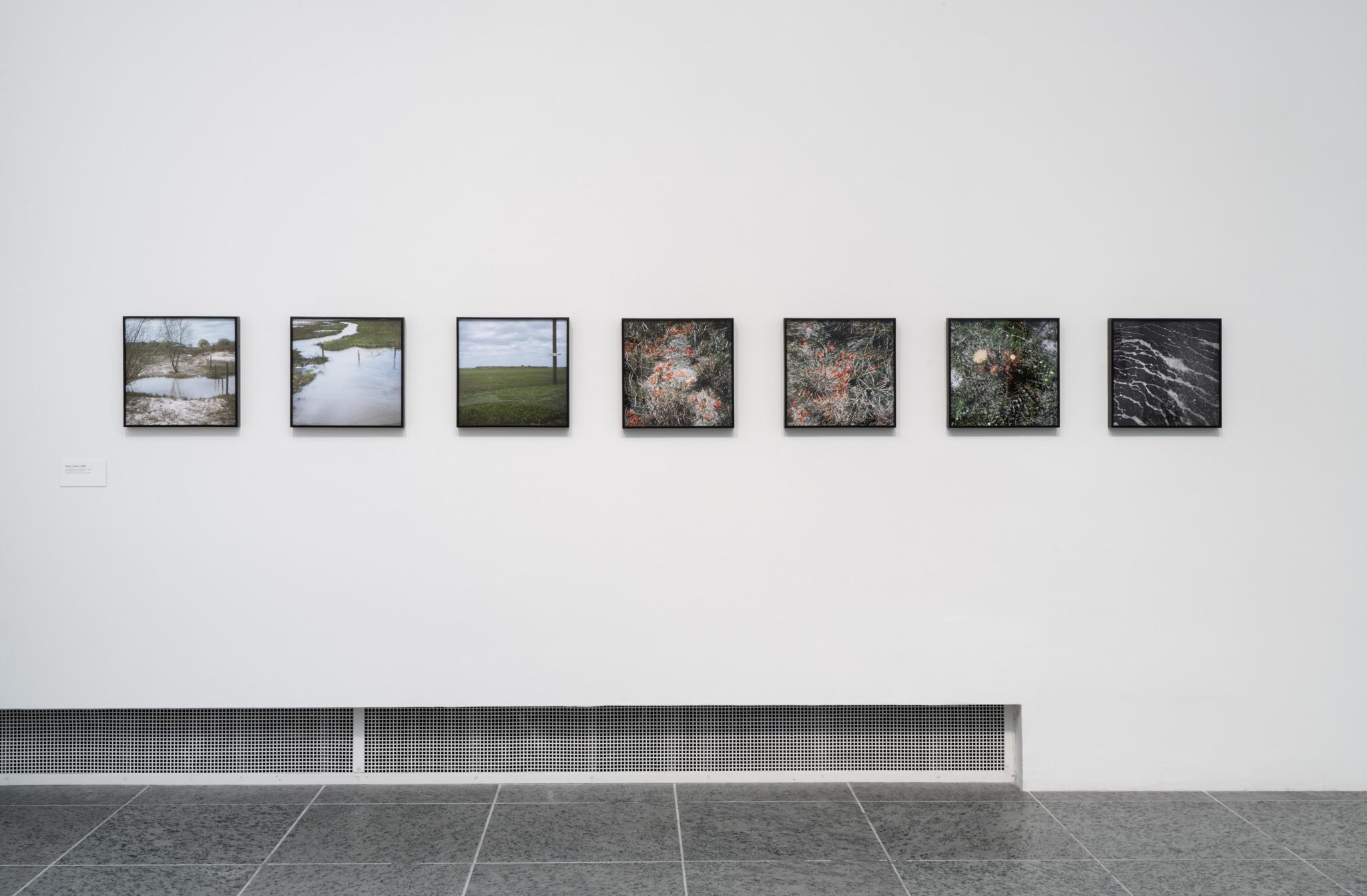 Installation view of seven small square photographs on a white gallery wall