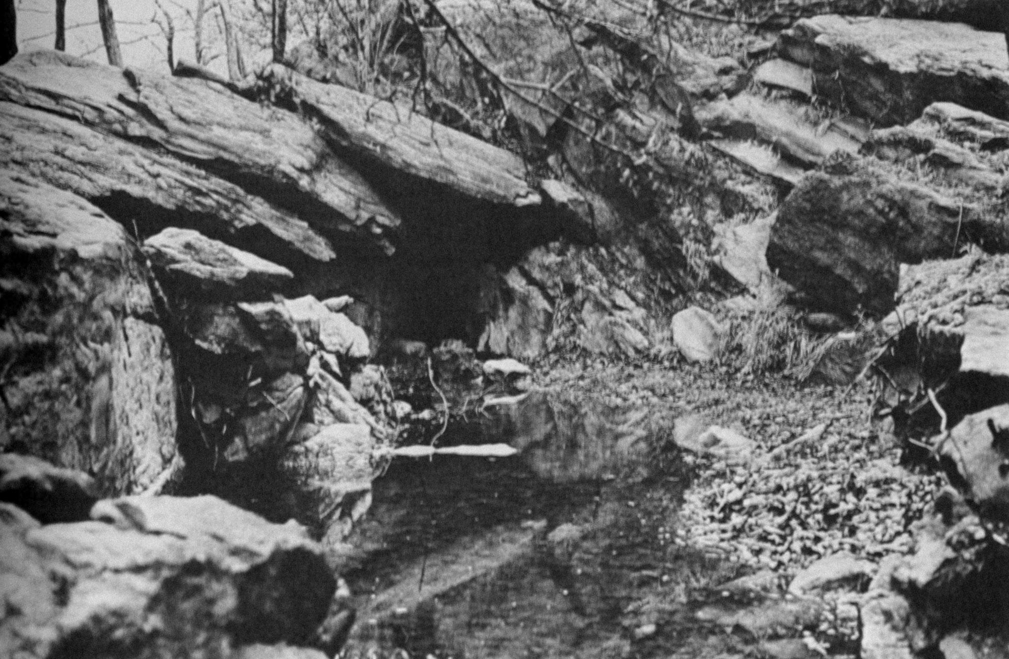 rocky cave entrance in central in park