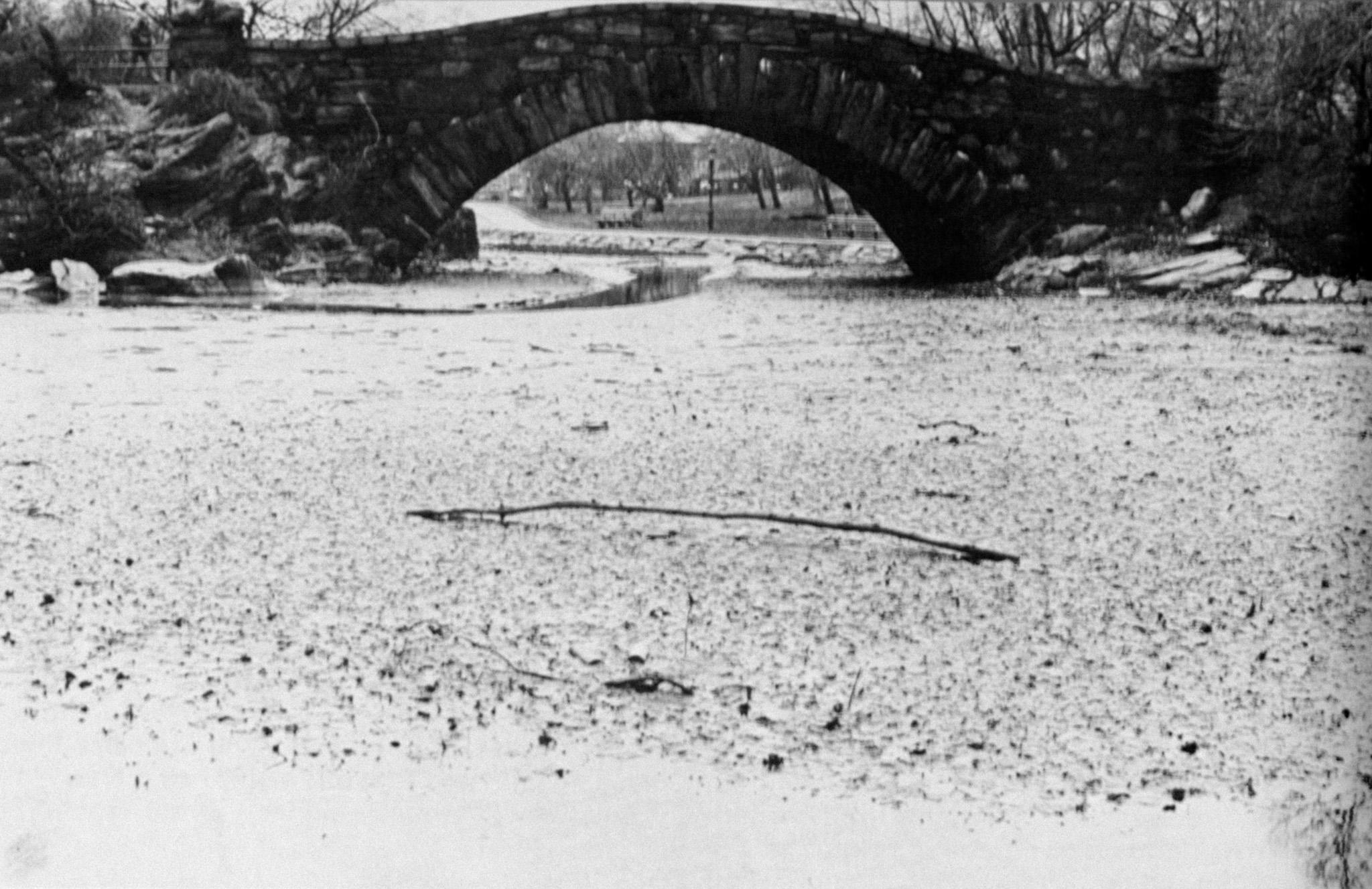 a curving stone bridge over a muddy area