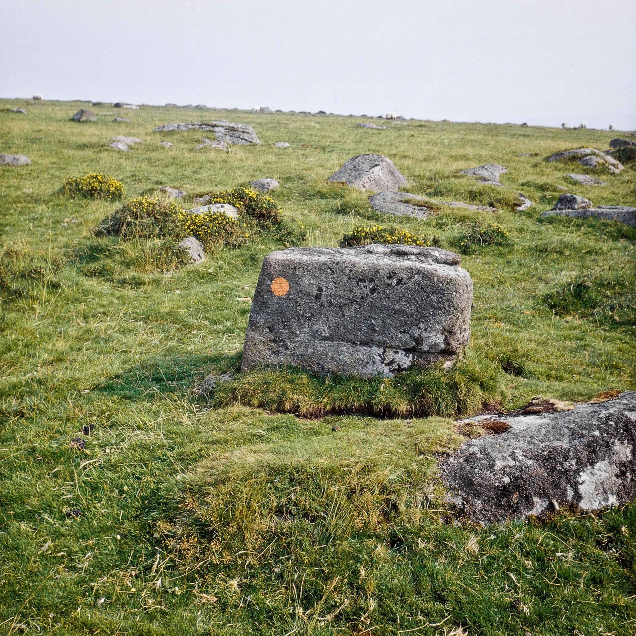 large boulders in a grassy field with an orange dot on the central boulder