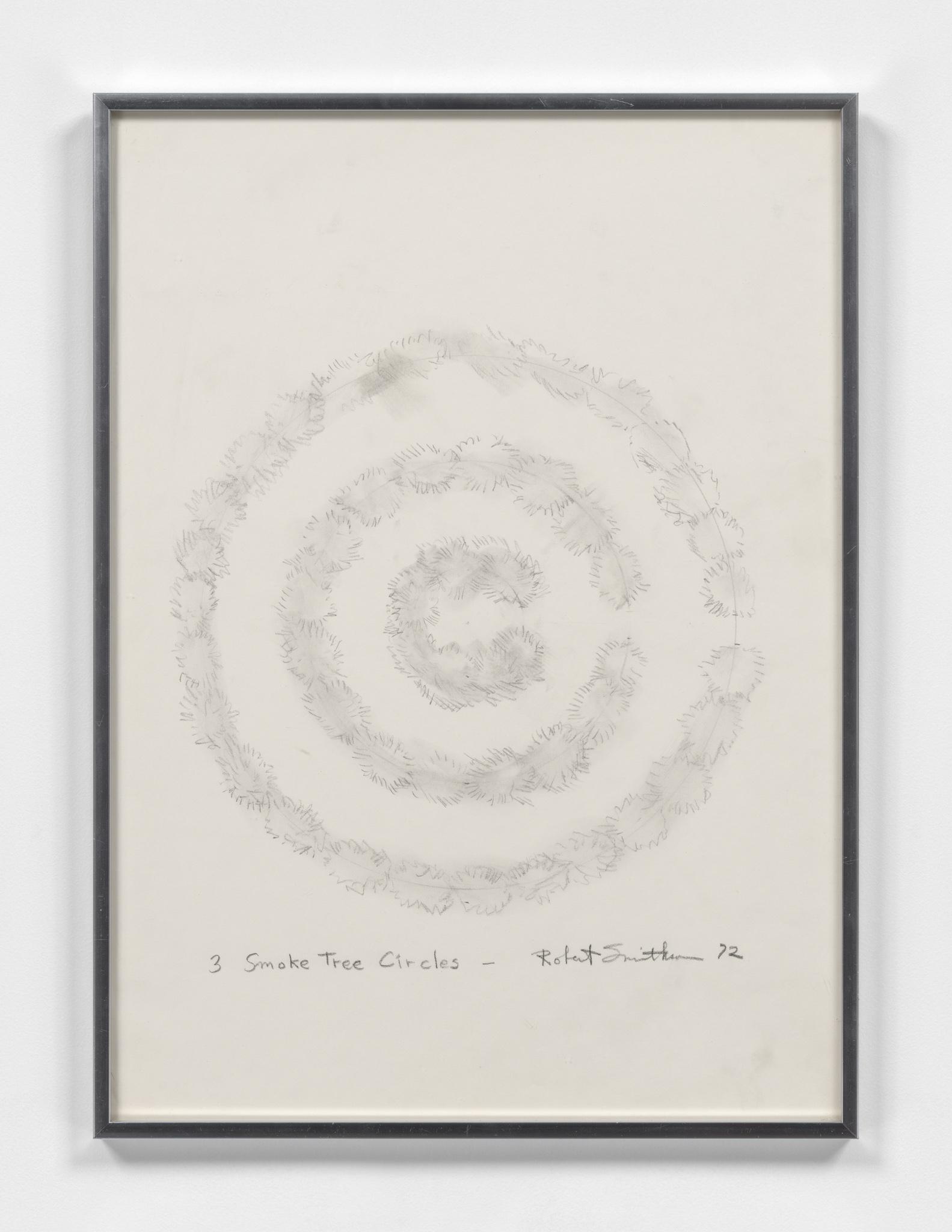 graphite drawing of aerial view of three concentric rings of smoke tree plants