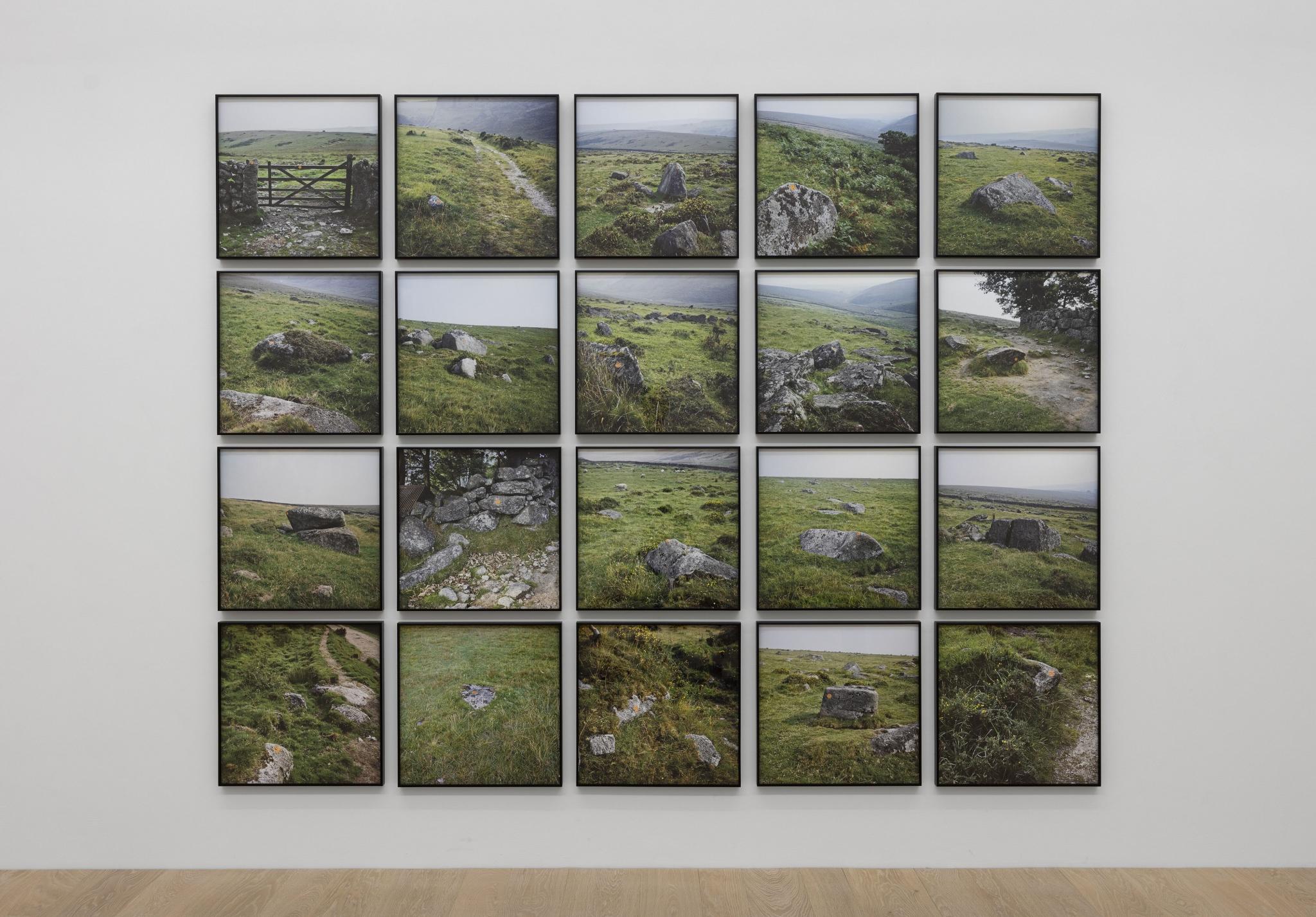 A grid of photographs