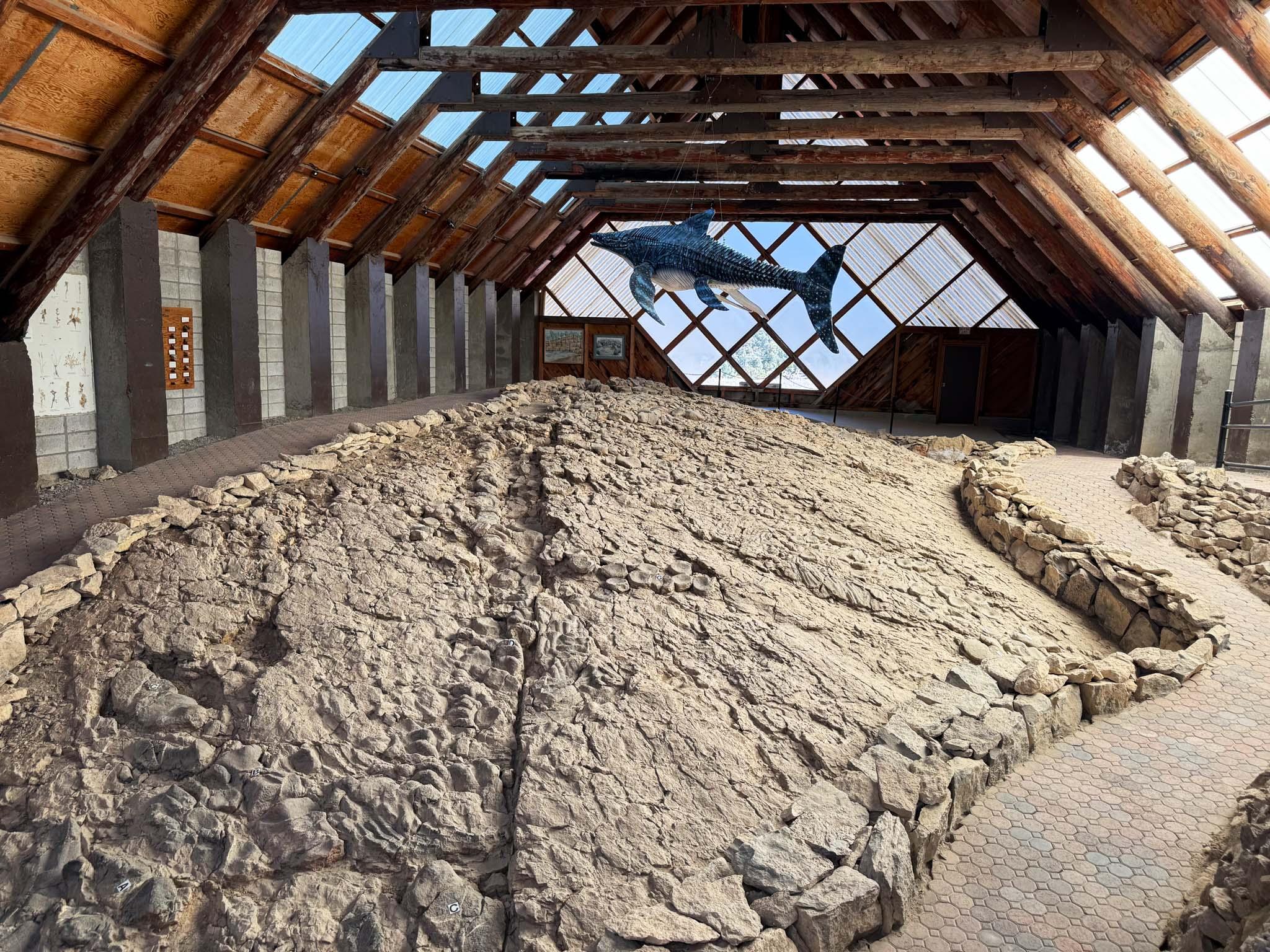  Photo of Berlin-Ichthyosaur State Park fossil repository