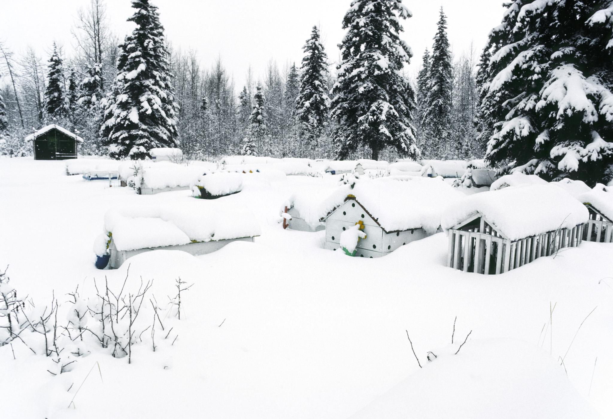 a snowy graveyard with large house-like structures as gravemarkers