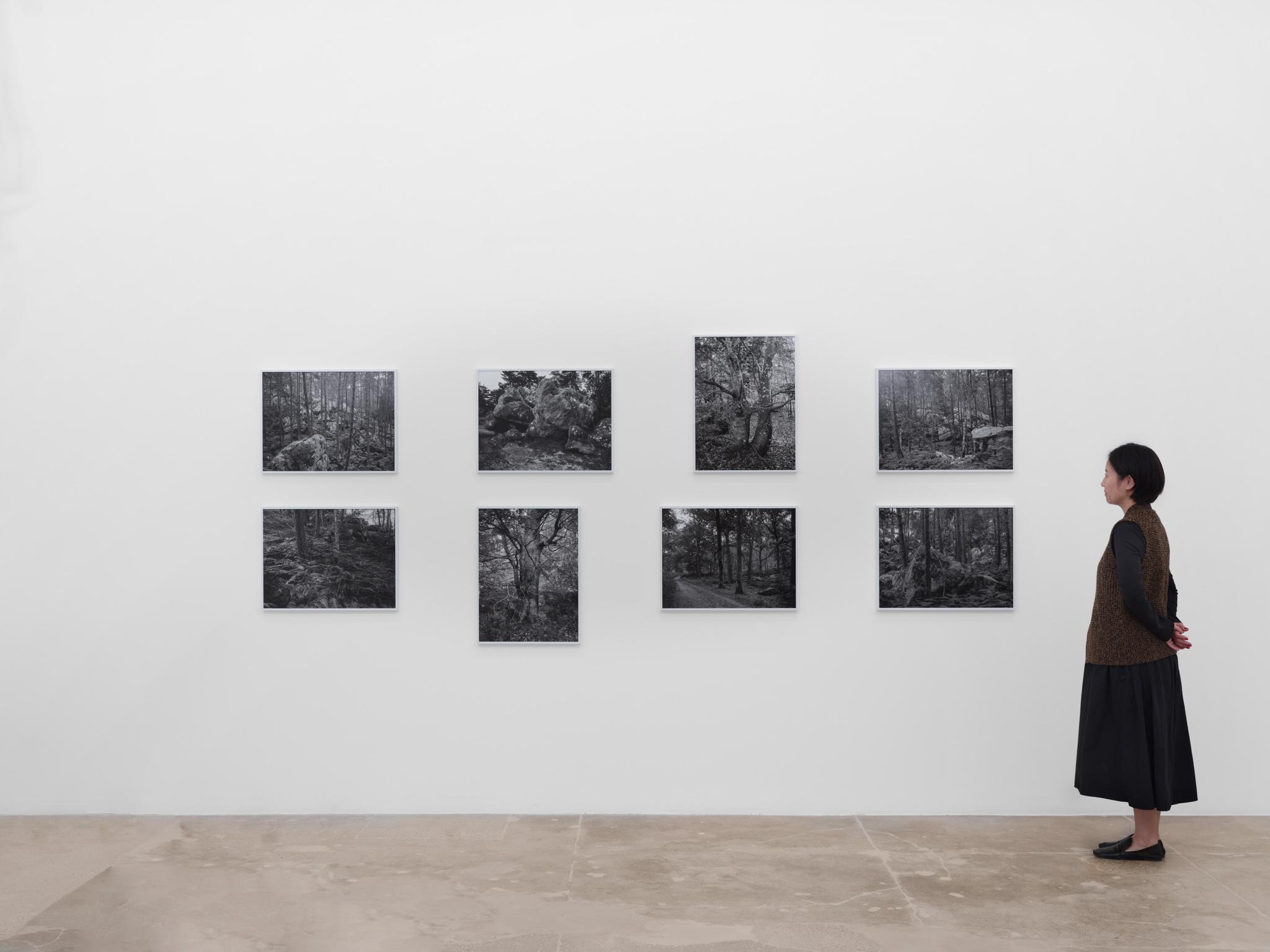 Casting a Glance: Dancing with Smithson, Marian Goodman Gallery, Los Angeles, CA, 2025 featuring black & white inkjet prints of trees by James Welling