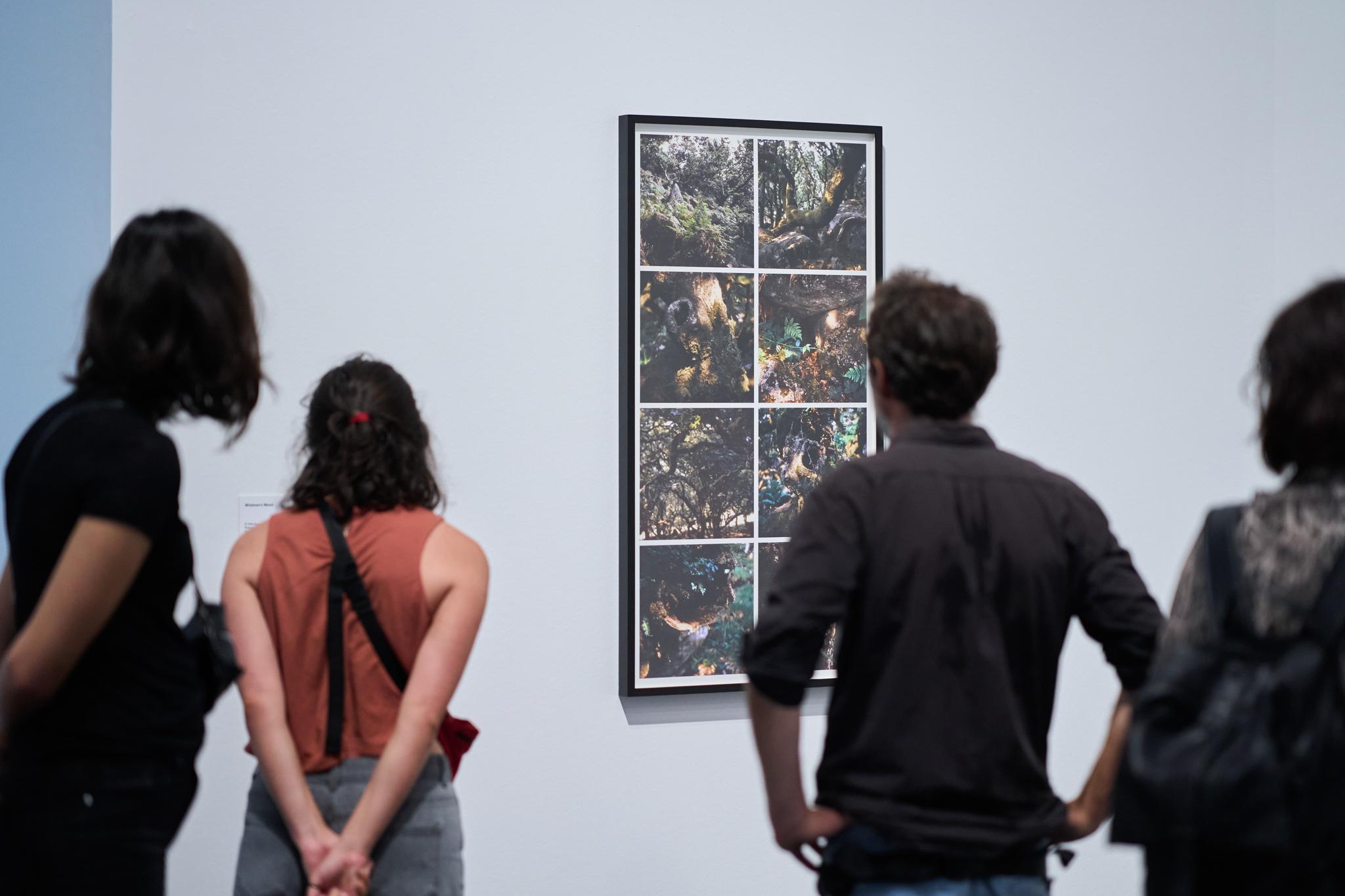 people looking at art in a museum 