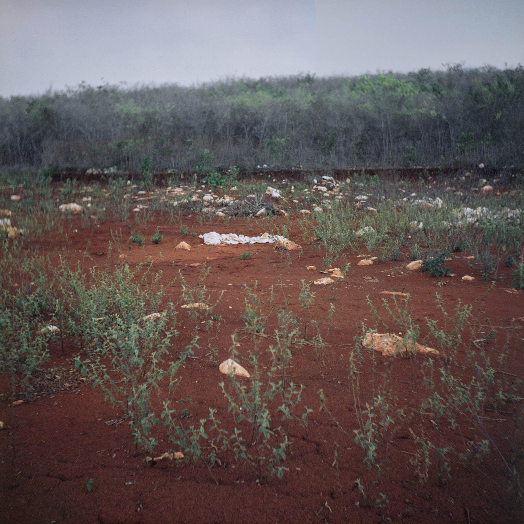image of an island made from white rocks on dark earth