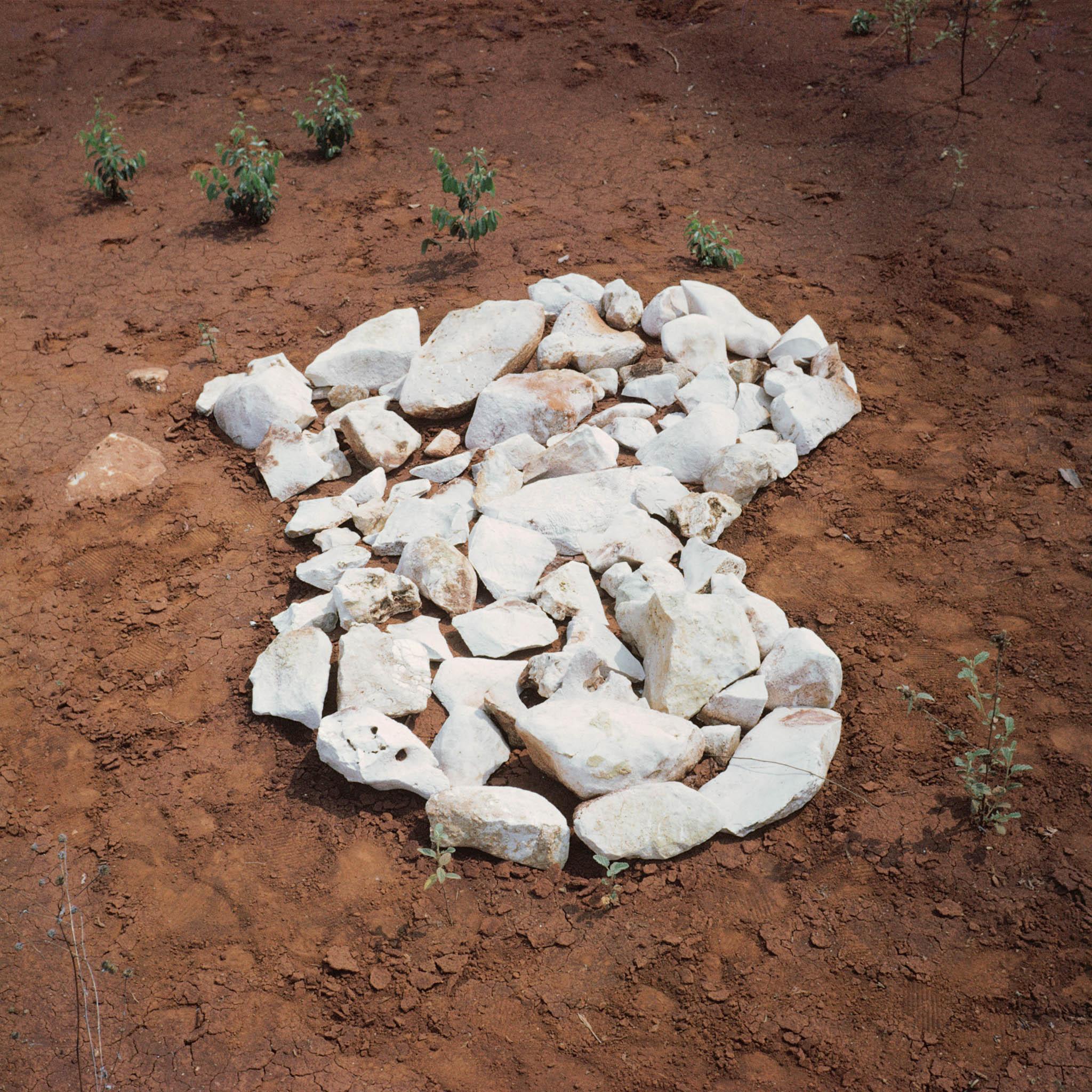 image of an island made from white rocks on dark earth