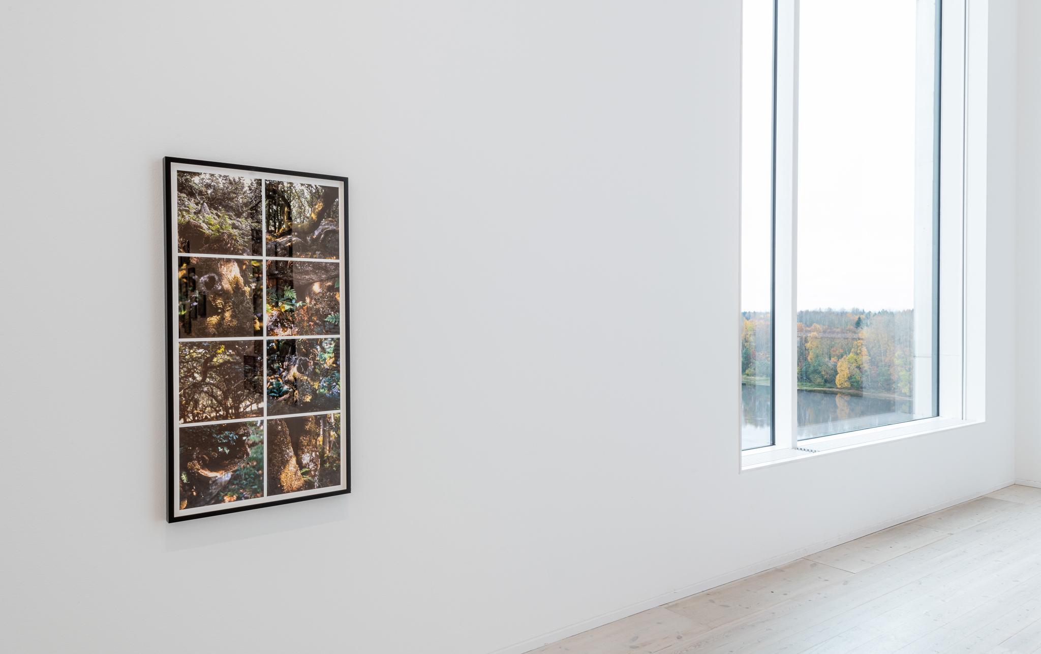 an artwork in a gallery