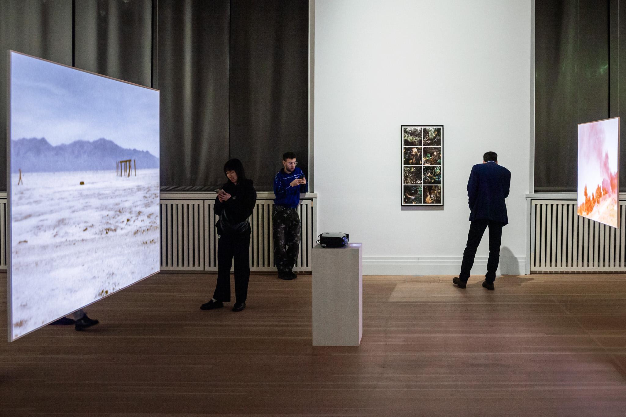 people looking at art in amuseum