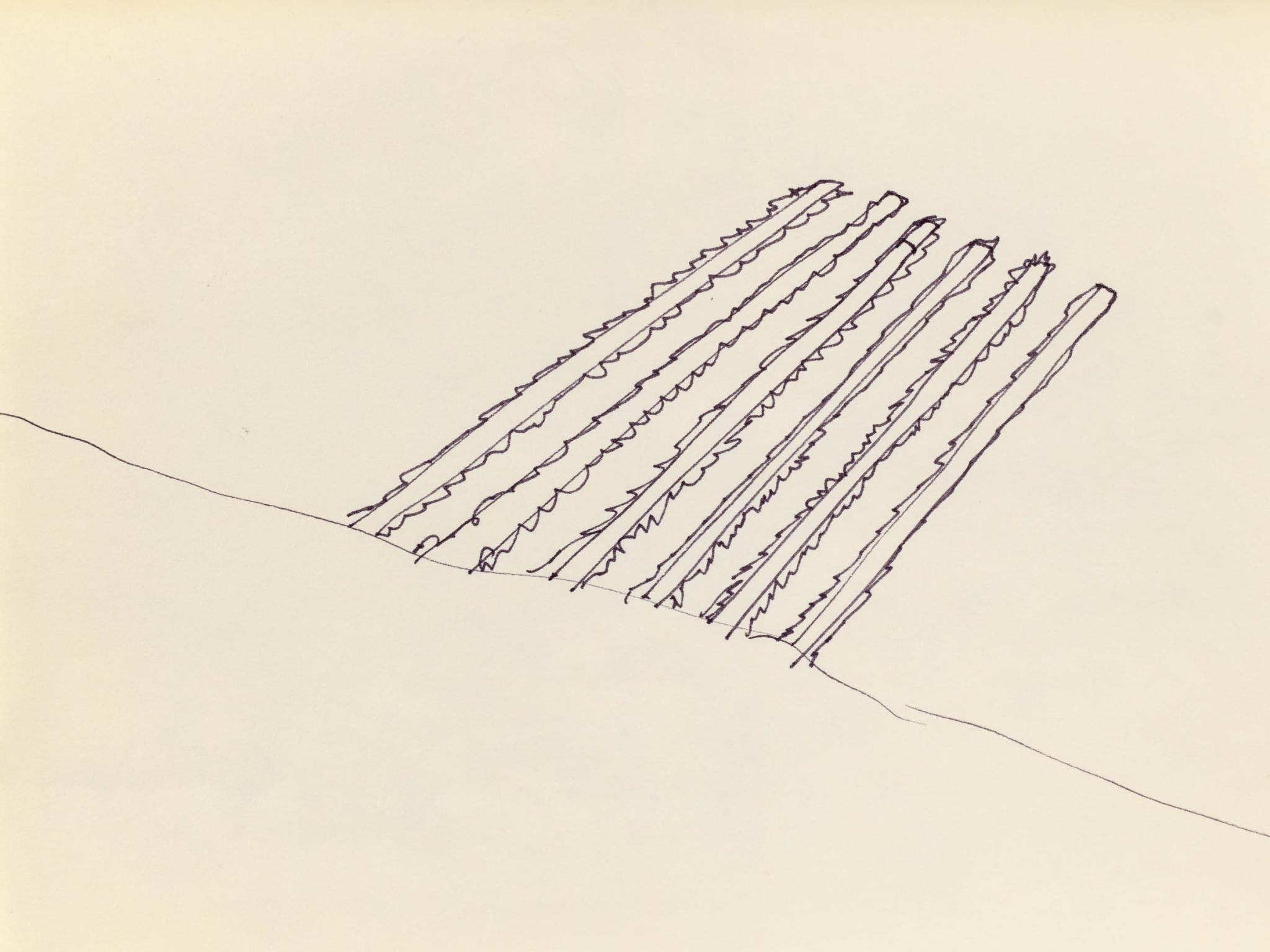 pages of a sketchbook