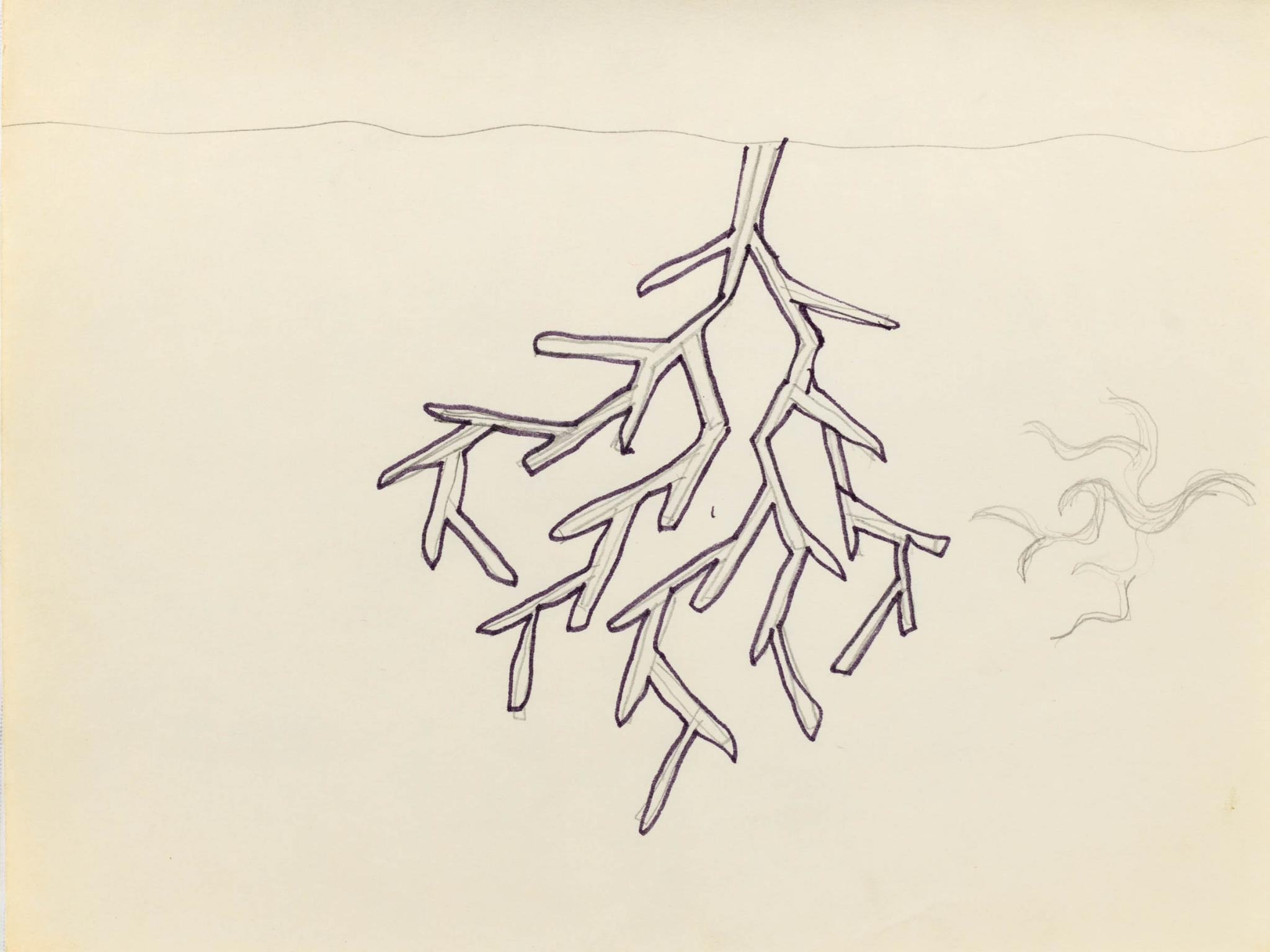 pages of a sketchbook