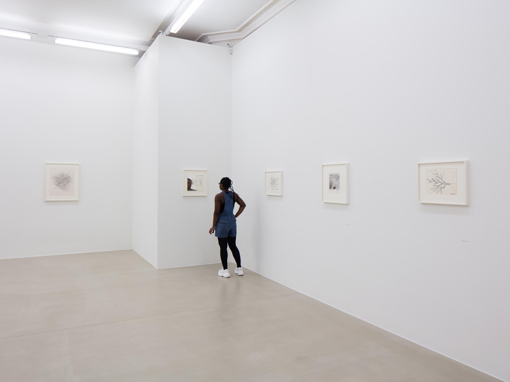 installation at Marian Goodman Gallery, London