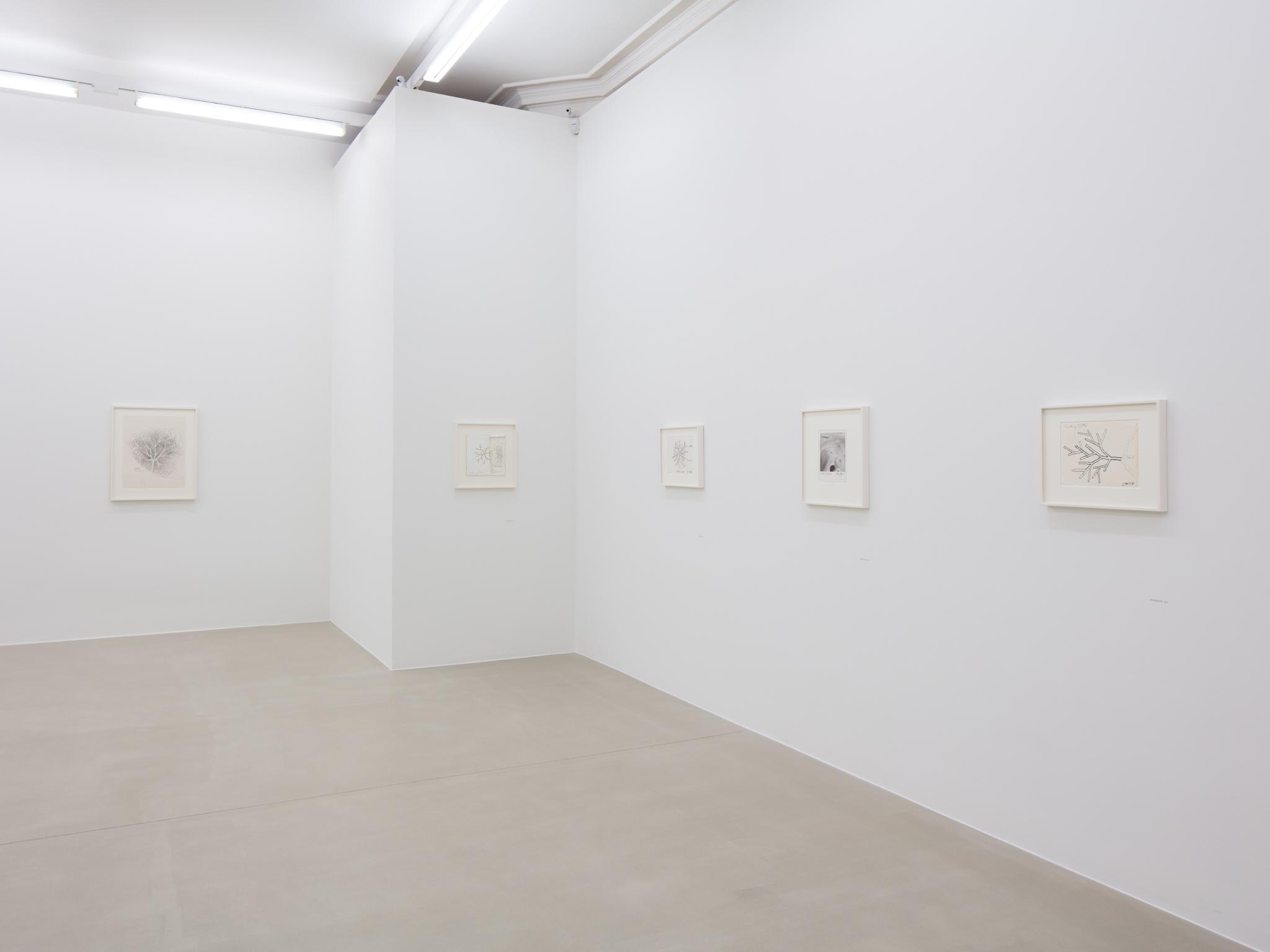 installation at Marian Goodman Gallery, London