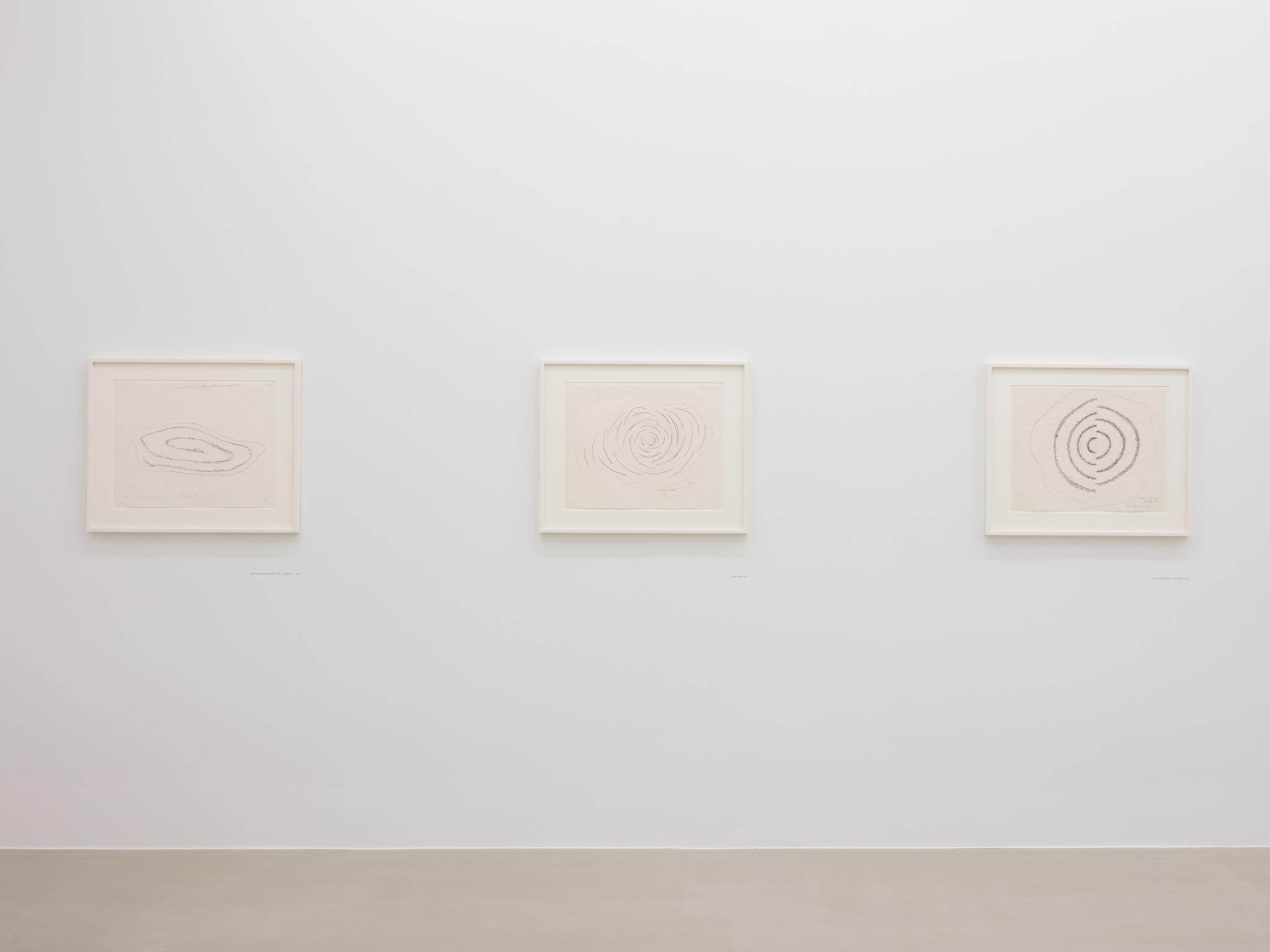 installation at Marian Goodman Gallery, London